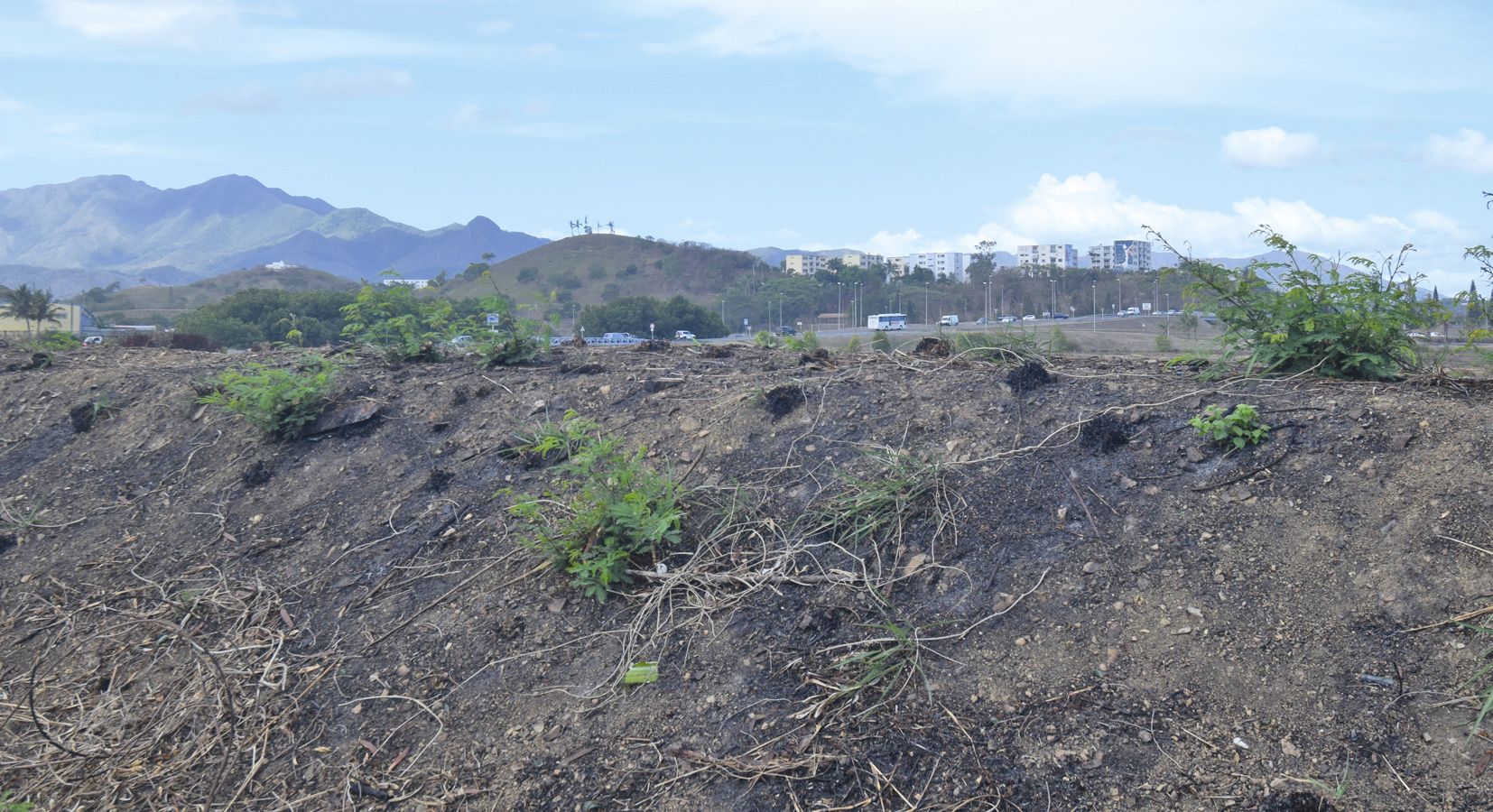 À Nouméa, une partie de la zone industrielle de Ducos a eu très chaud. Si les restes  d’arbres calcinés ont été arrachés, laissant une plaine nue au niveau du rond-point  d’Auto Point, des traces du sinistre subsistent.