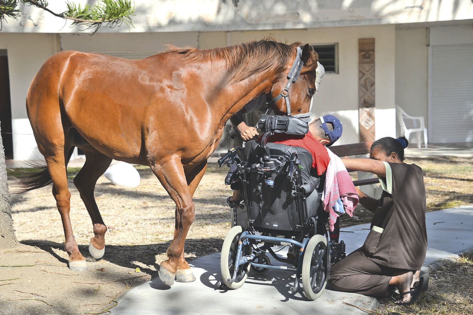 Exceptionnellement, le cheval qui participe aux séances d’équithérapie était présent hier au foyer.