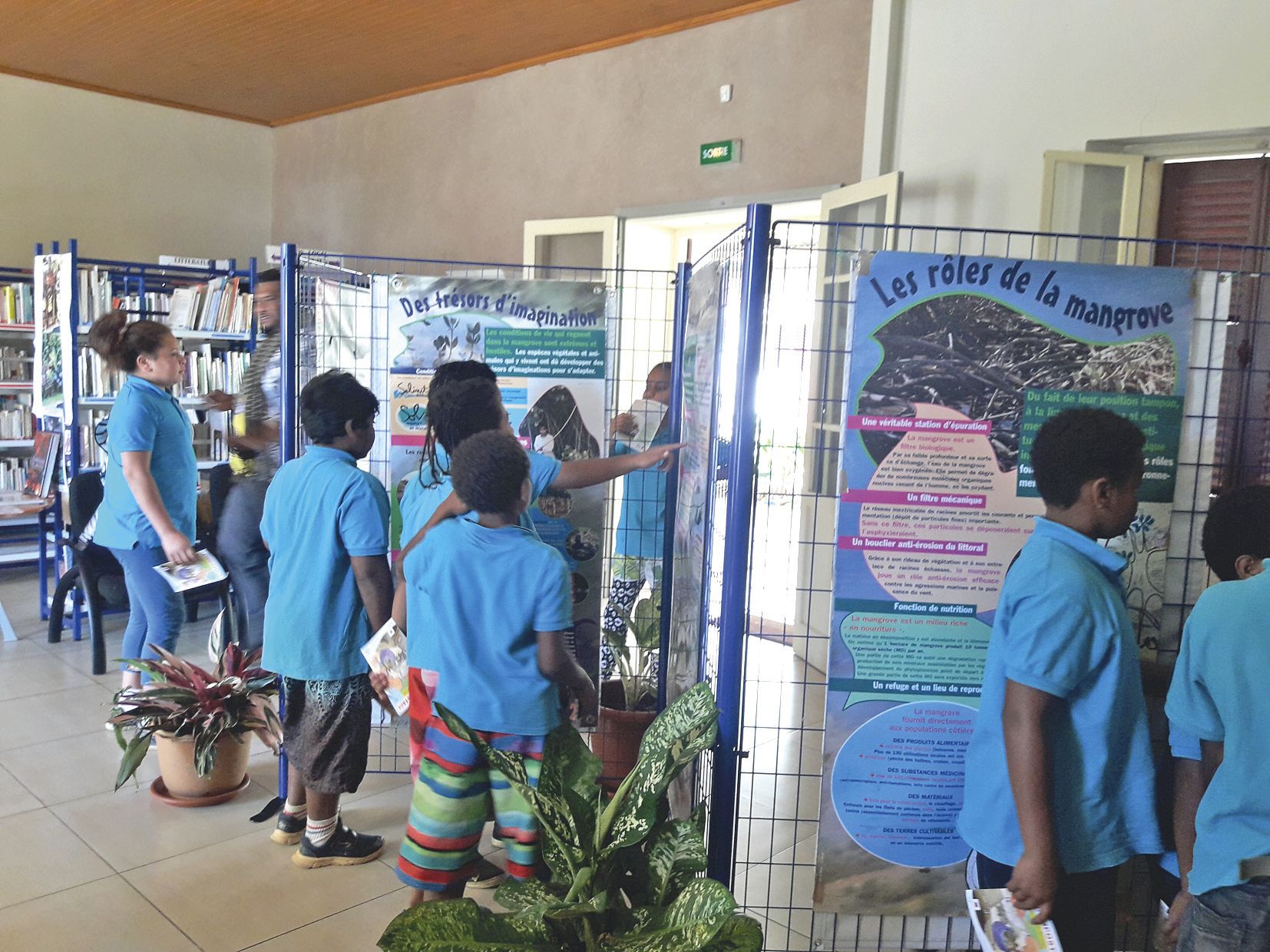 Les primaires ont visité à la médiathèque l’exposition sur la mangrove  et la forêt sèche.