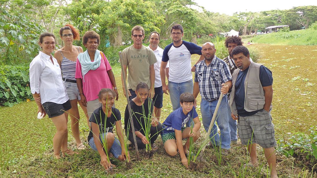 Avec le concours de la DDR (Direction du développement rural), les visiteurs ont pu revégétaliser les bords de la rivière avec des bouraos et du vétiver, des plantes non envahissantes dont les racines sont très denses pour mieux résister en terre.