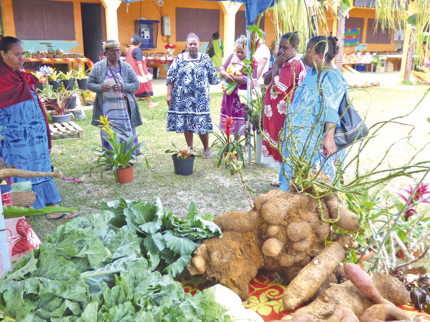 Dès l’ouverture des stands, les visiteurs se sont rués sur les étals afin d’acheter des ignames, des maniocs, des taros, des pommes de terre, des patates douces et bien  d’autres produits de la terre.