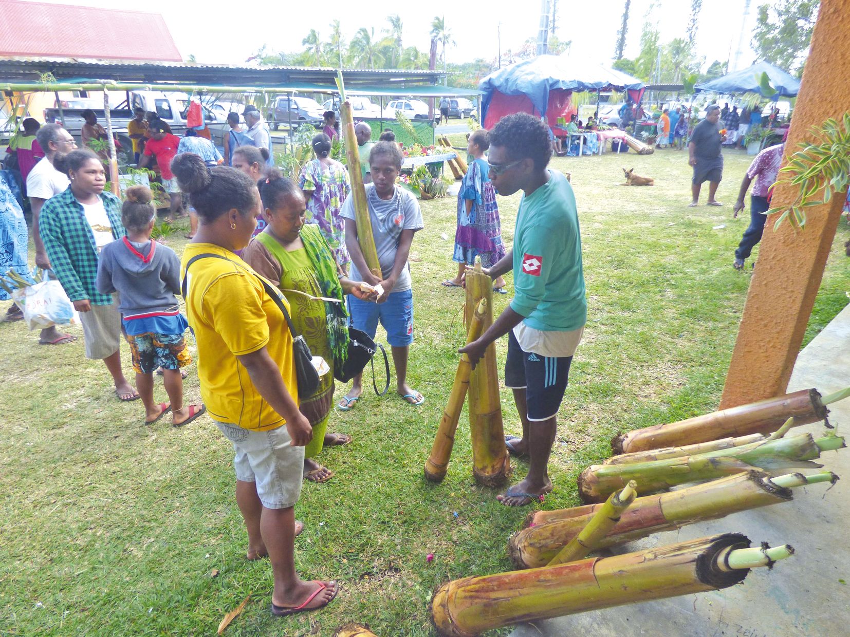 Les stands proposant des plants de bananiers ont été pris d’assaut. La tribu de Kedeigne jouit d’une très bonne réputation en matière de culture des bananiers.