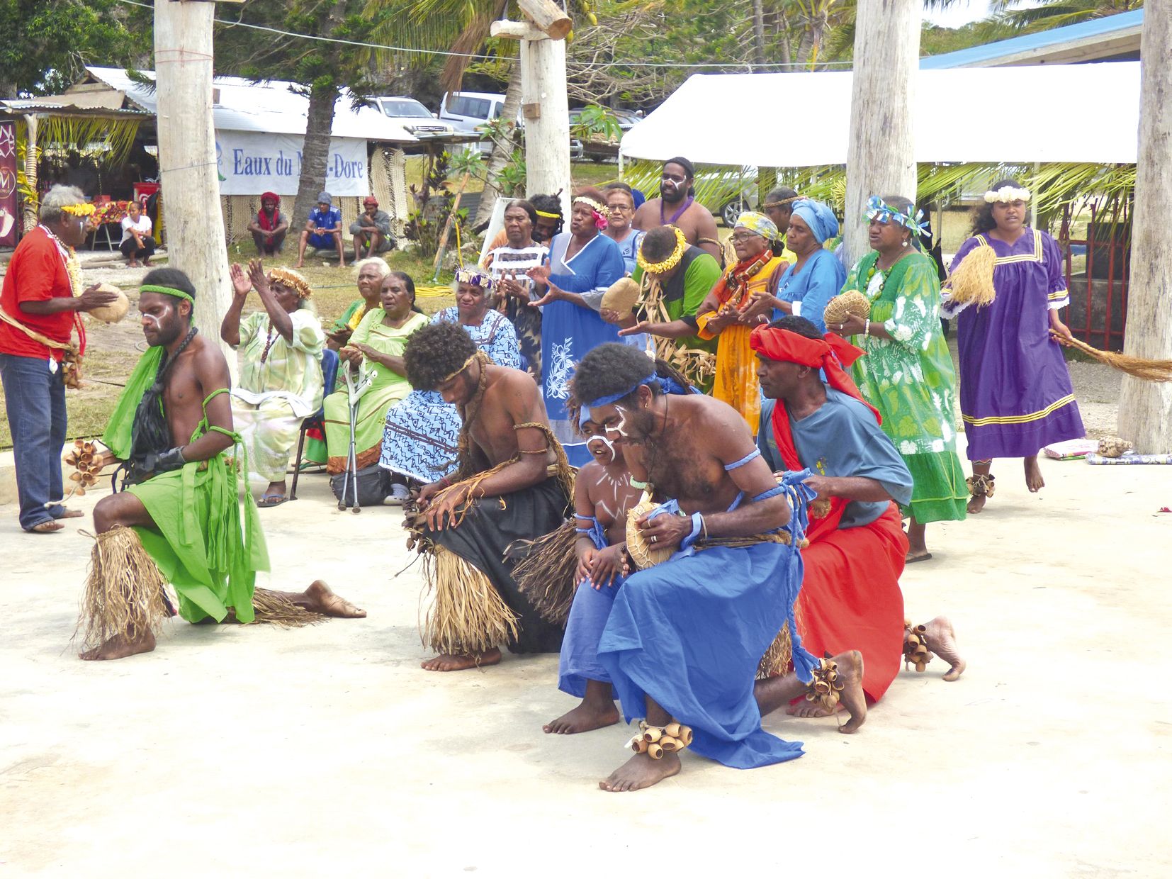Précédent les prises de parole, la troupe de danse du Wetr a fait voyager le public dans le monde culturel mélanésien.
