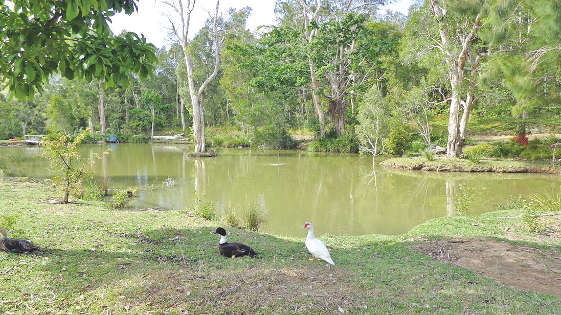 La pêche aux écrevisses se pratique dans les bassins qui jouxtent la maison.