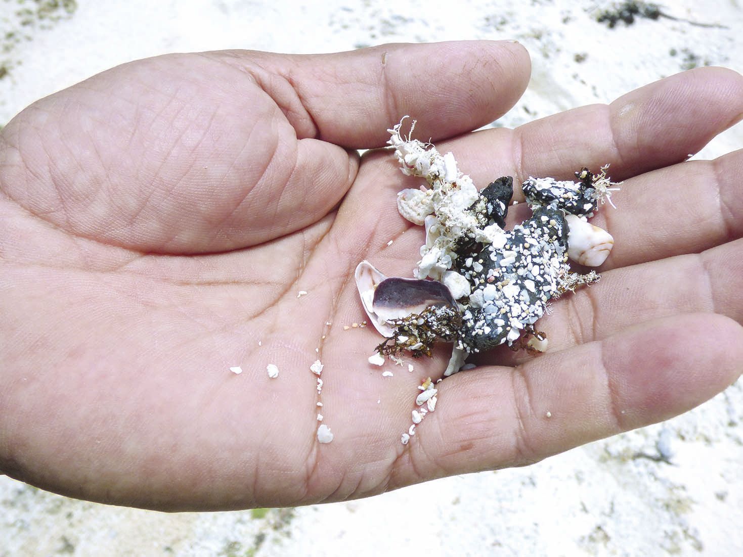 En cas de découverte de boulettes, il faut en informer au plus vite la gendarmerie ou le centre d’incendie et de secours de la commune.