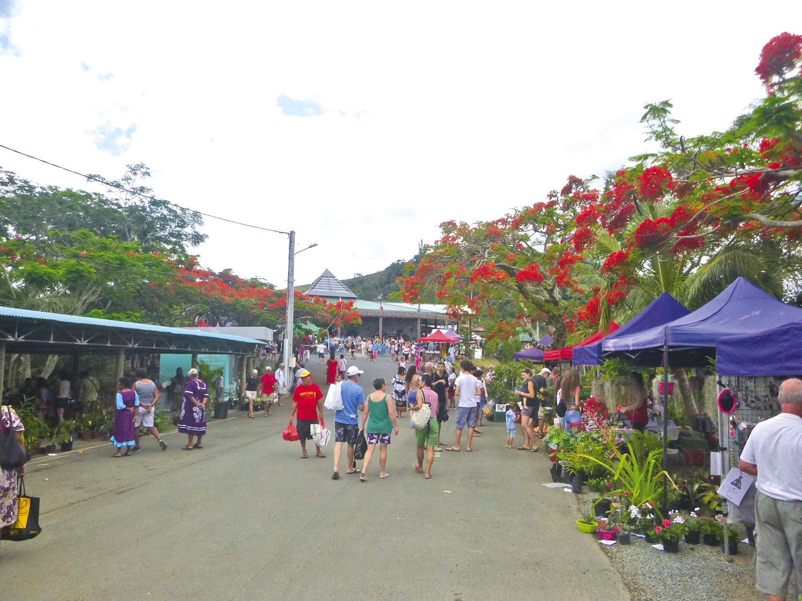 Les flamboyants en fleurs ont donné à ce marché de fin d’année des airs de fêtes.