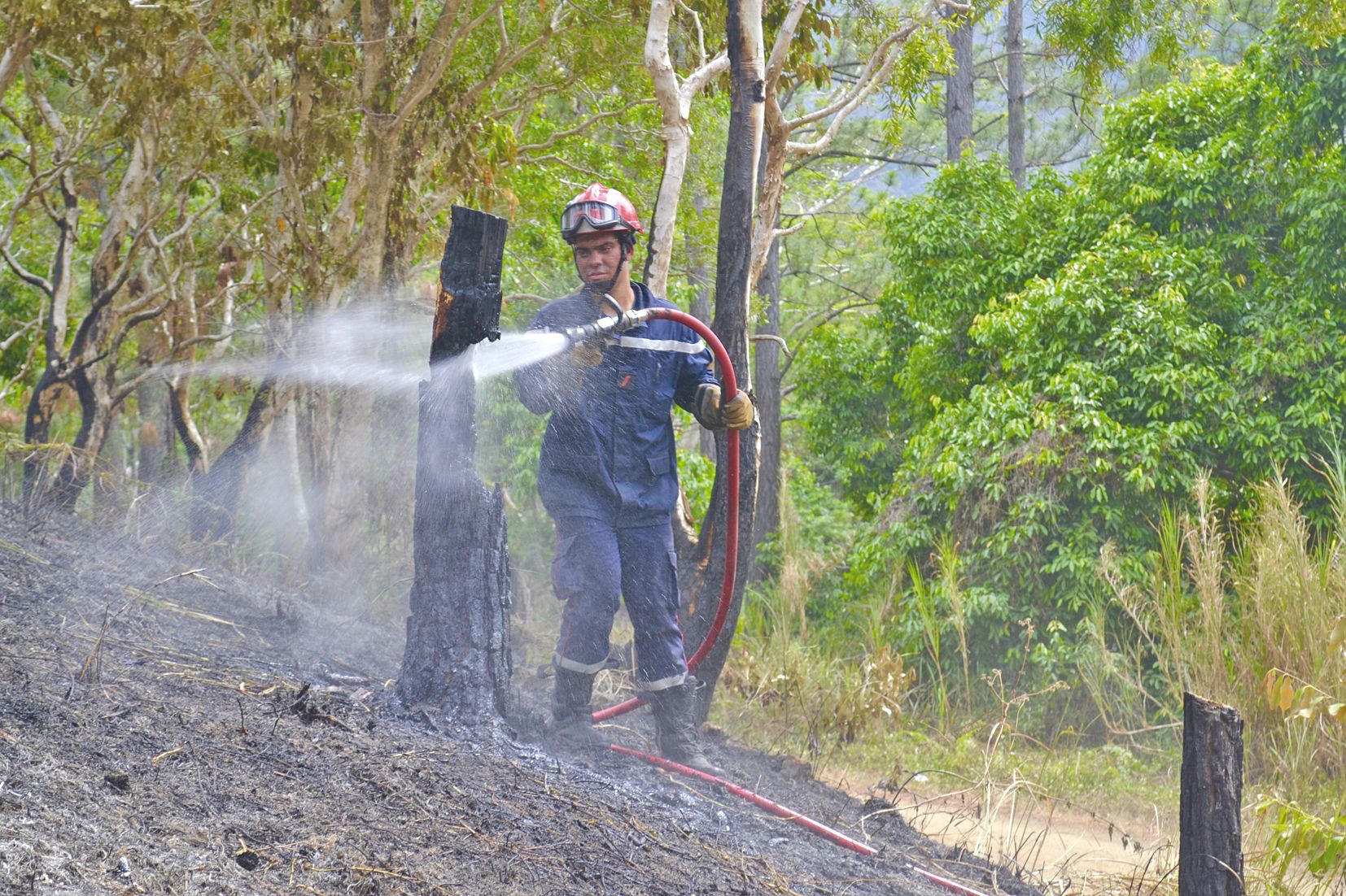 Hier matin, une vingtaine de pompiers de la ville et de la Sécurité civile étaient toujours sur le qui-vive afin de maîtriser les derniers points chauds.