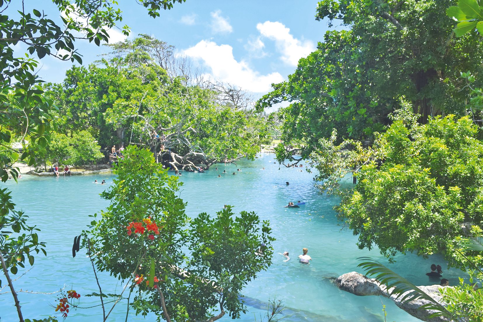 Au Blue Lagoon, petits et grands peuvent batifoler dans l’eau et jouer à Tarzan depuis les plateformes aménagées dans les arbres.