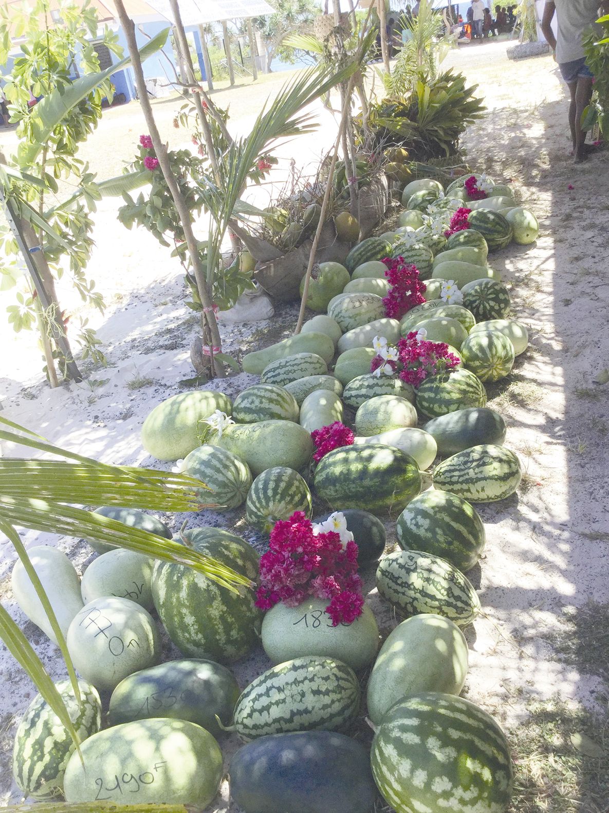 Plusieurs tonnes de pastèques ont été en vente, comme ici devant la chefferie de la tribu de Toka.
