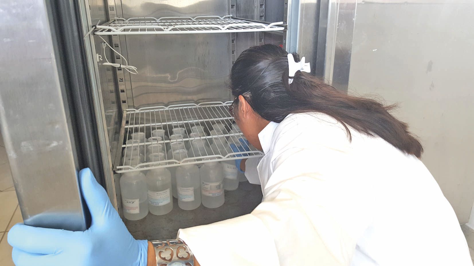 Les échantillons d’eau sont stockés au frais, dans la salle de réception du laboratoire, interdite au public. Ils doivent arriver dans les 24 heures, conservés dans de la glace.