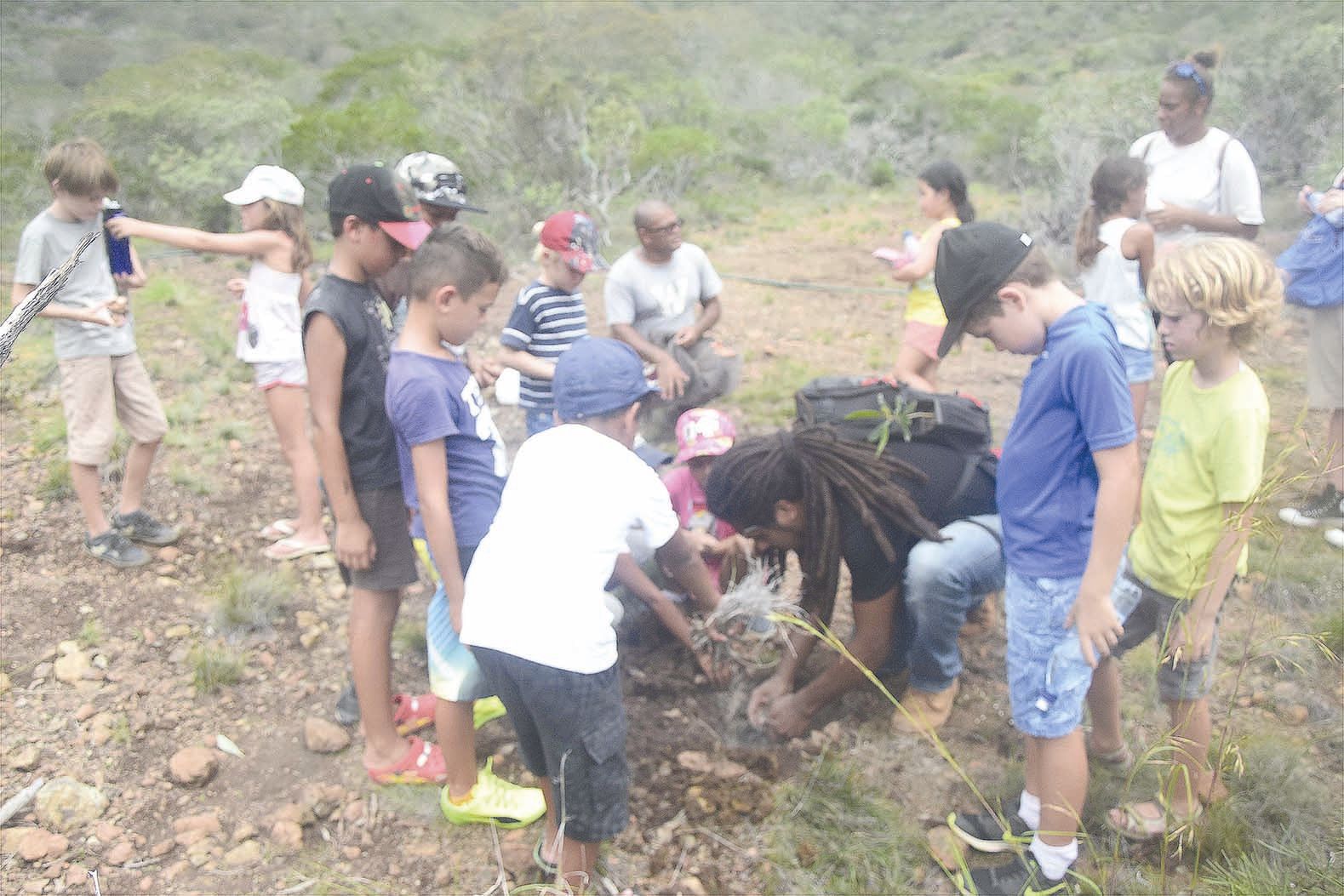 Afin de marquer leur passage, les vacanciers ont planté un arbre en suivant les conseils du technicien du CIE.