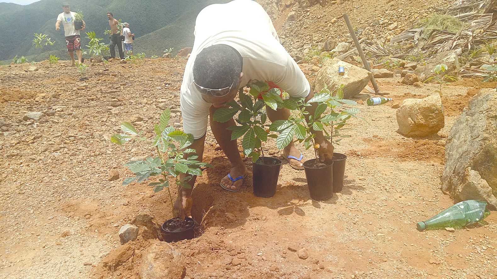 Laurent, de la tribu de Nétéa, a aidé les bénévoles  à planter de faux tamanous sur le plateau de la mine.