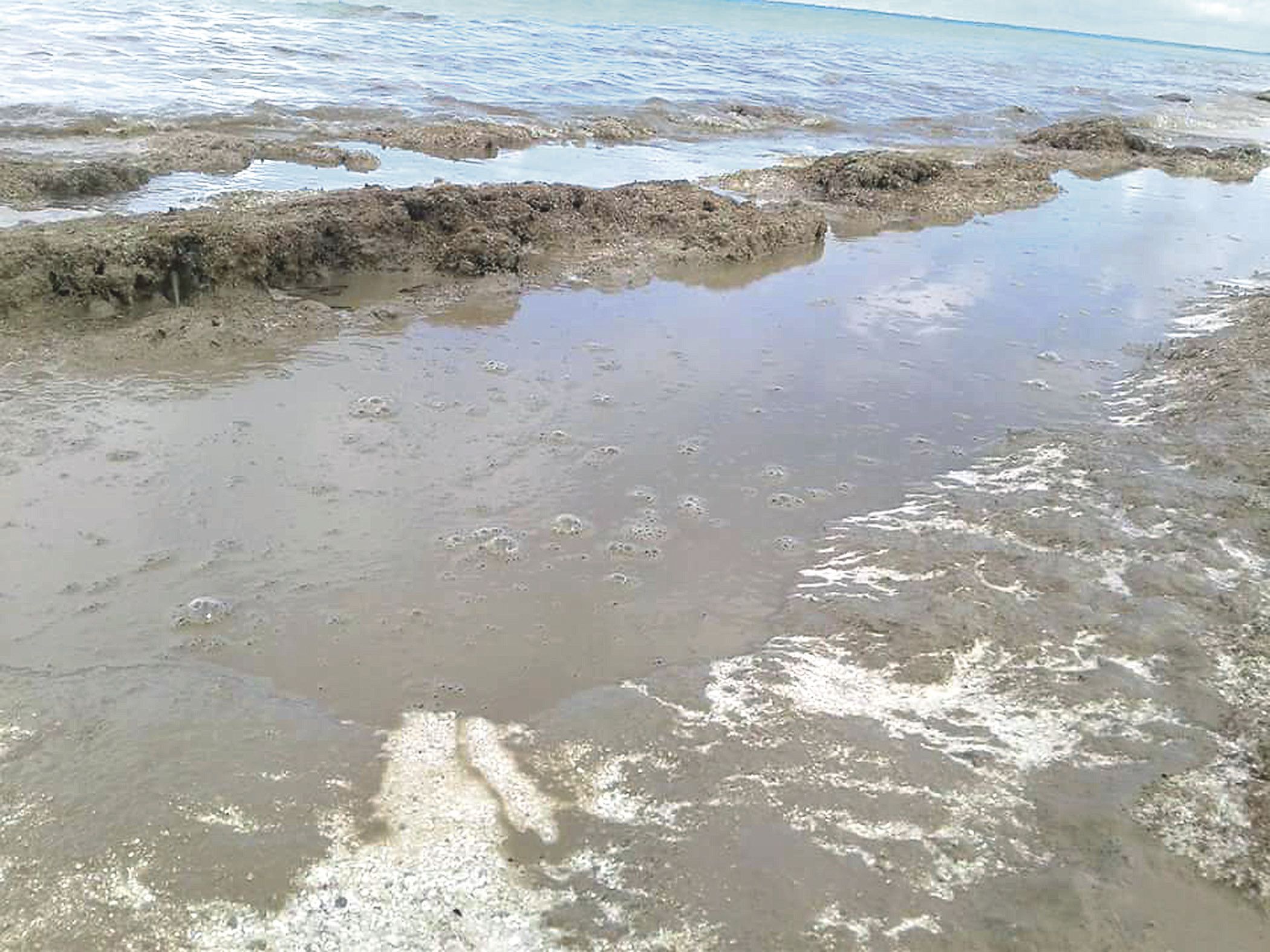 Les habitants du bord de mer ont photographié une étrange nappe marron sur le bord de la plage.
