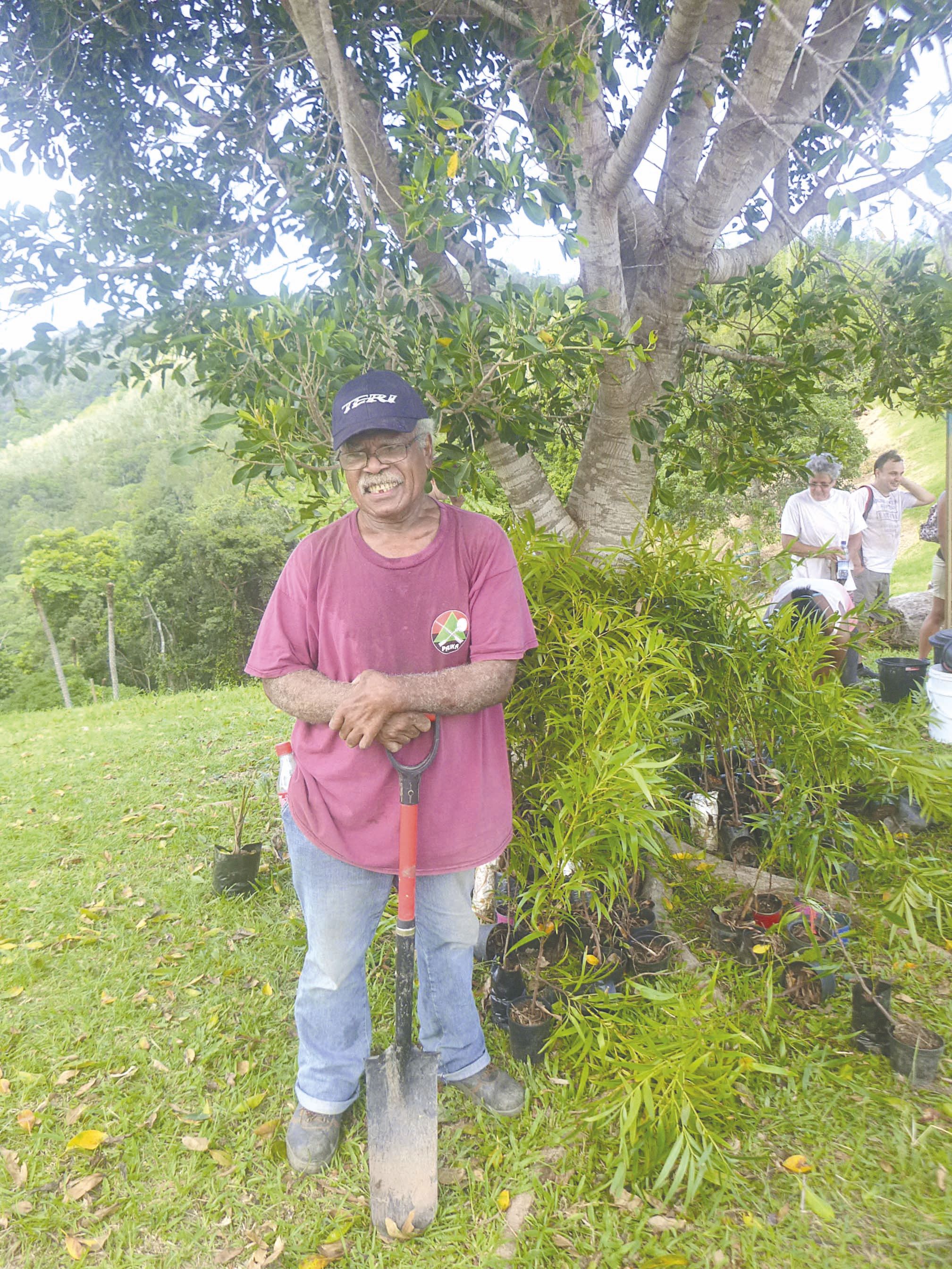 Tous les plants (mille au total) sont issus de graines récupérées dans le parc des Grandes Fougères par un passionné, Edouard Monefara, de Koindé. « Cela m’a pris un an environ pour récolter les graines, puis il a fallu les faire germer et attendre un an 
