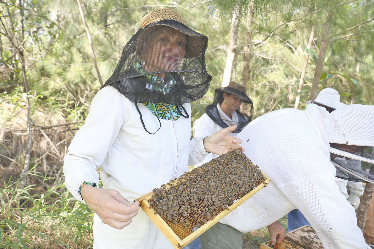 Laurette Thouzeau gère avec André Saligné le rucher Natcha. Ils en ont quatre sur Païta, sur le terrain de Liliane Pijcke.