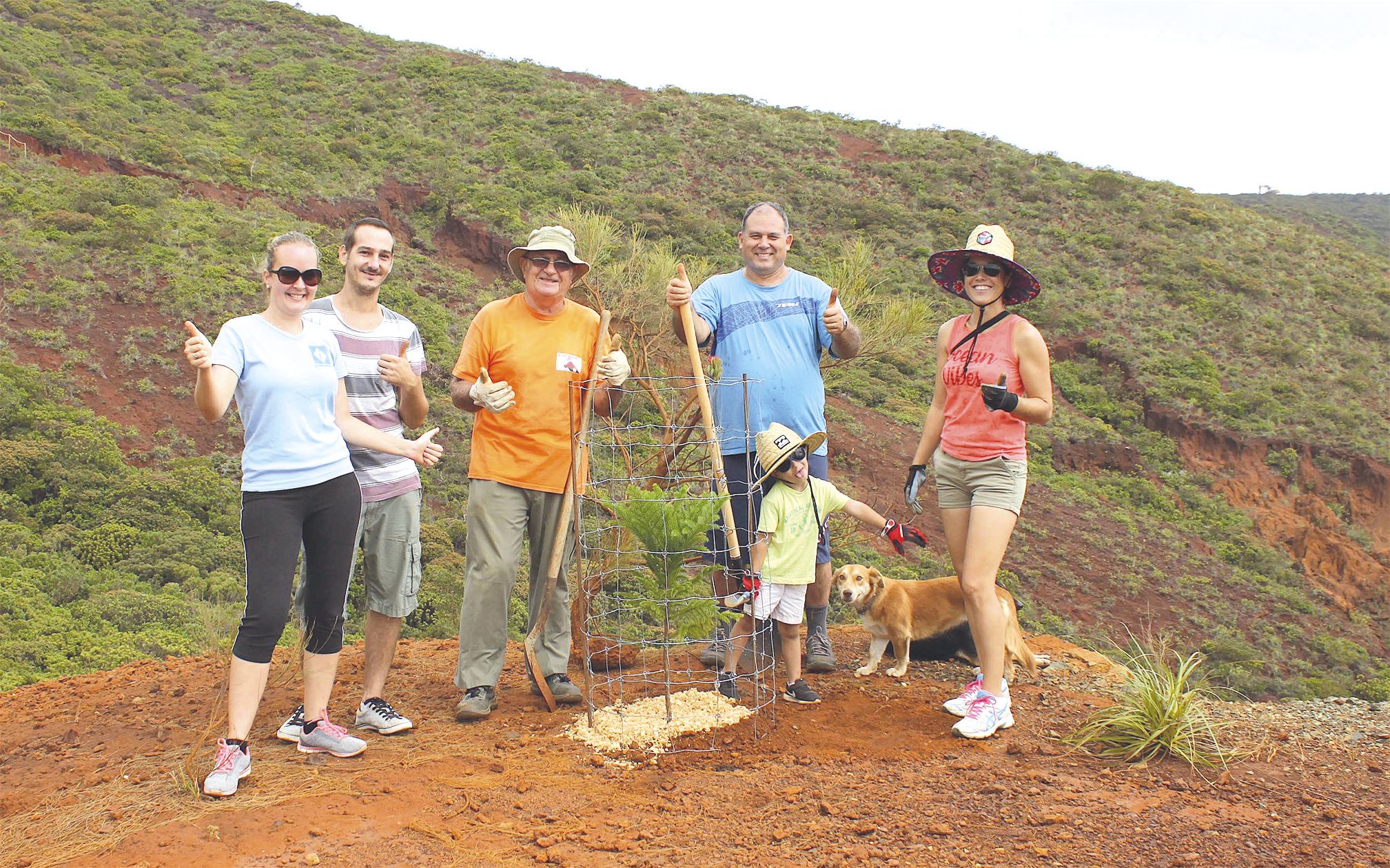 Si les visites guidées des grottes, prévues dans la journée, ont dû être annulées, un petit groupe de courageux s’est rendu au vieux village de Tiébaghi pour mettre en terre une dizaine de plants d‘araucarias rulei. Les graines, originaires de la Montagne