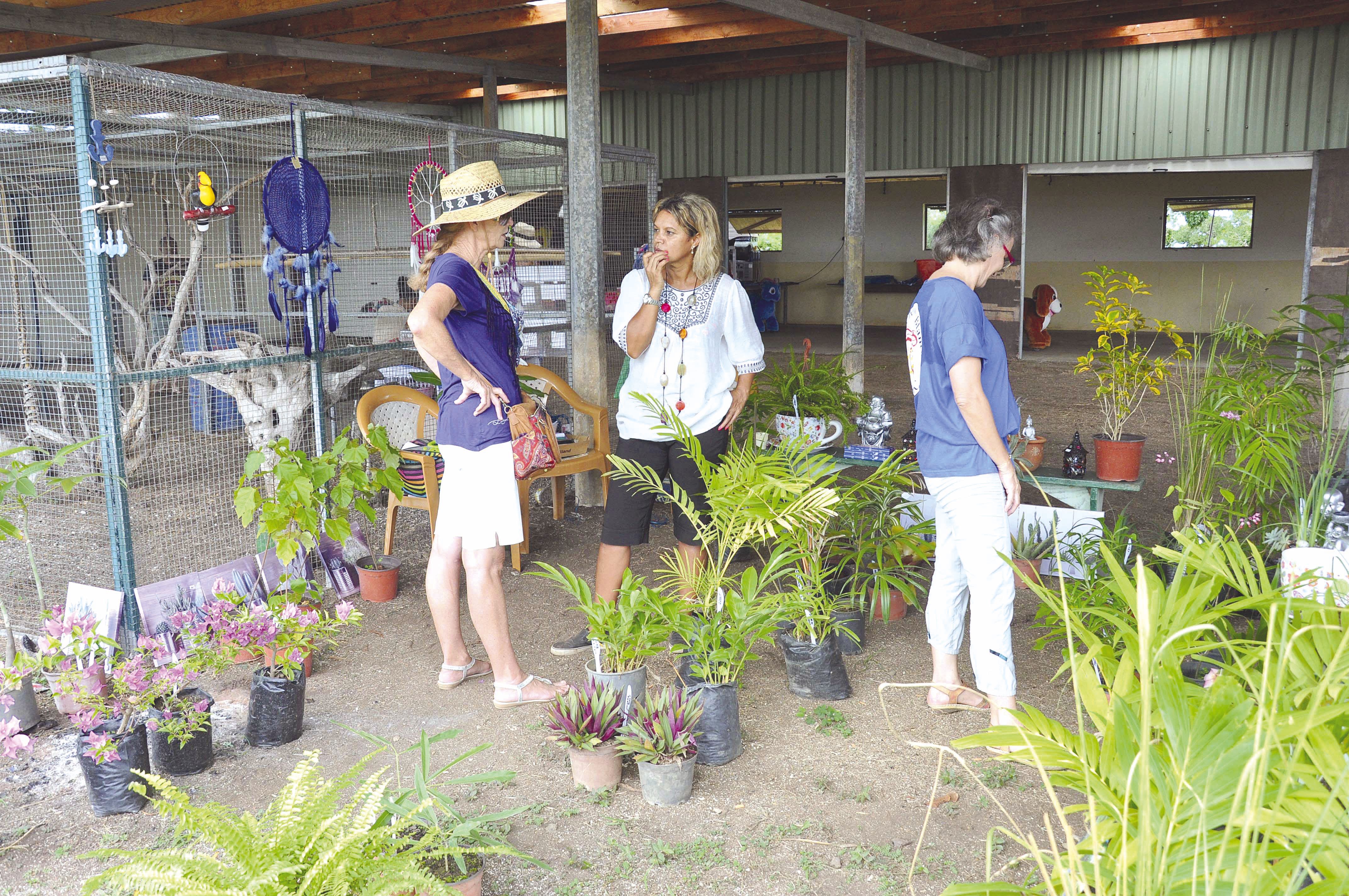 Une quinzaine de stands ont proposé leurs produits,  à l’image de la pépinière « Le Jardin d’à-côté ».
