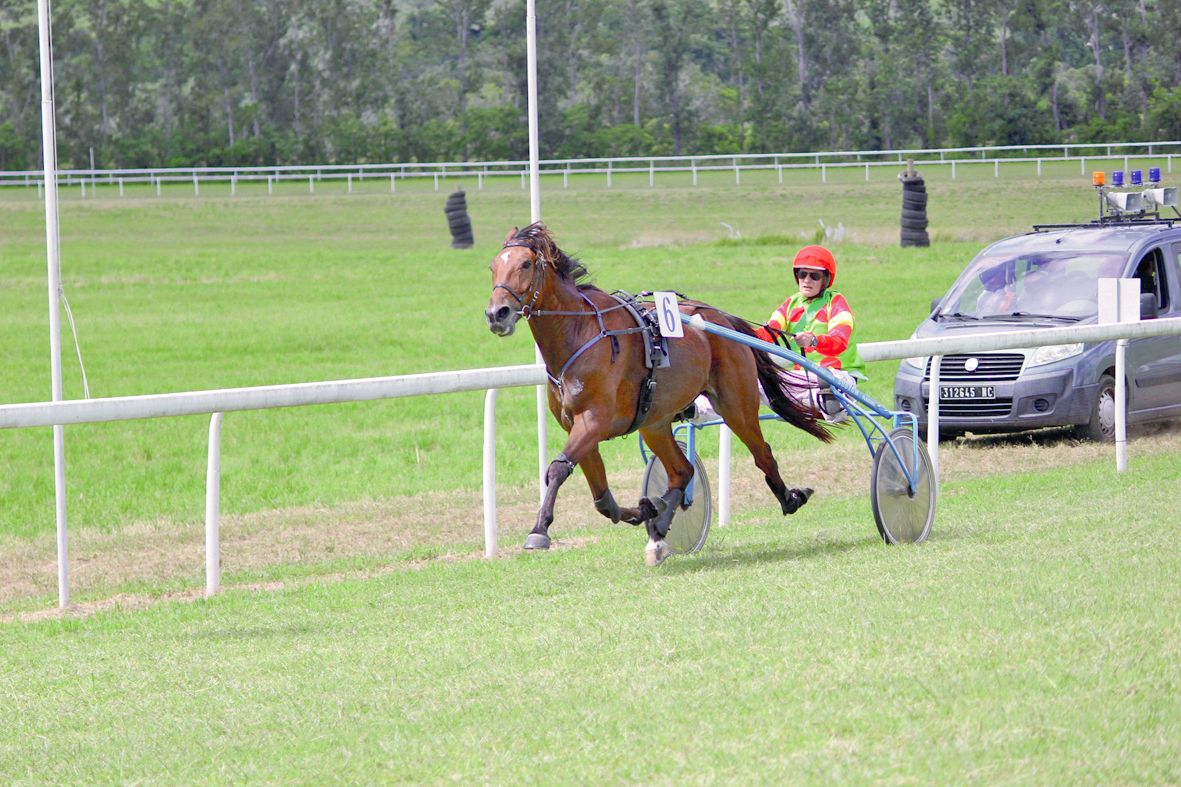 Authie et Gilles Herry ont remporté la course de trot attelé, samedi après-midi.Ils ont mené l’épreuve de 2 650 mètres de bout en bout avec une bonne avance.