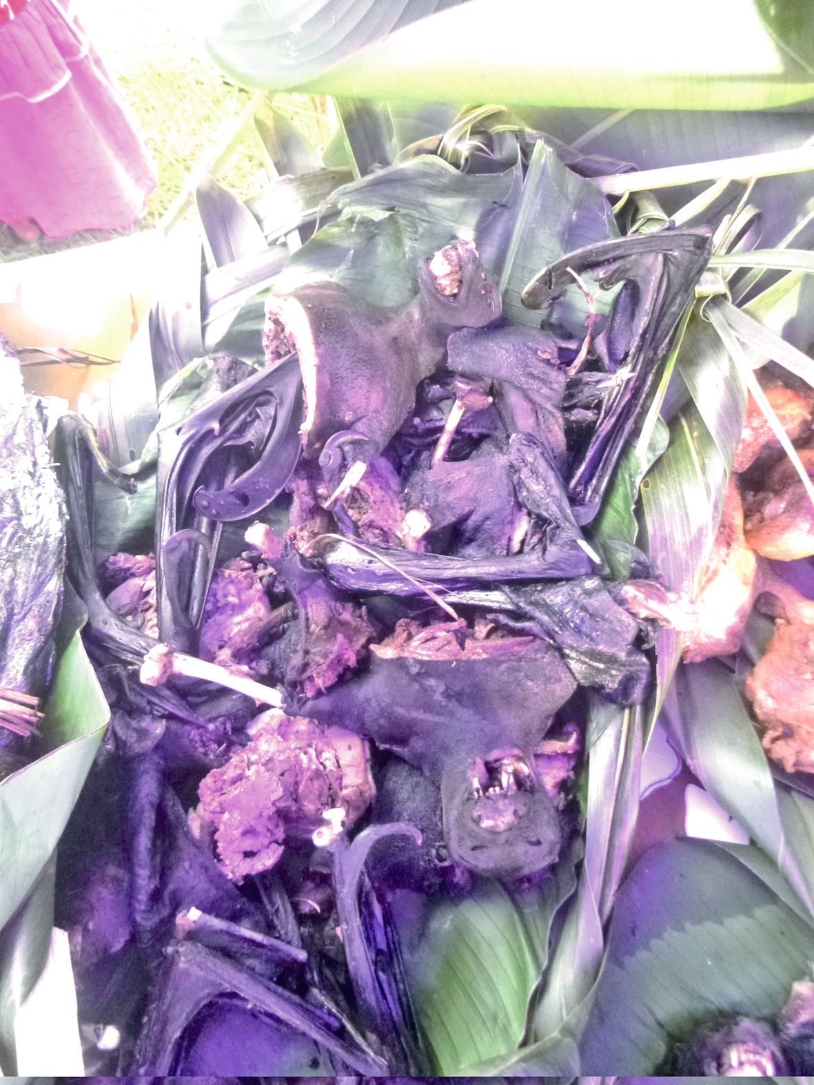 Des roussettes ont pu être offertes par plusieurs  chasseurs, ainsi que des notous.