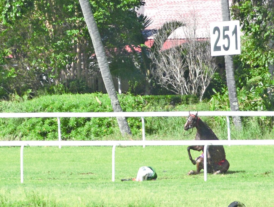 Cette photo a été prise pendant l’accident, le 15 avril 2017. On y voit Gil Garcia au sol, à côté de Pacifique du Cap.