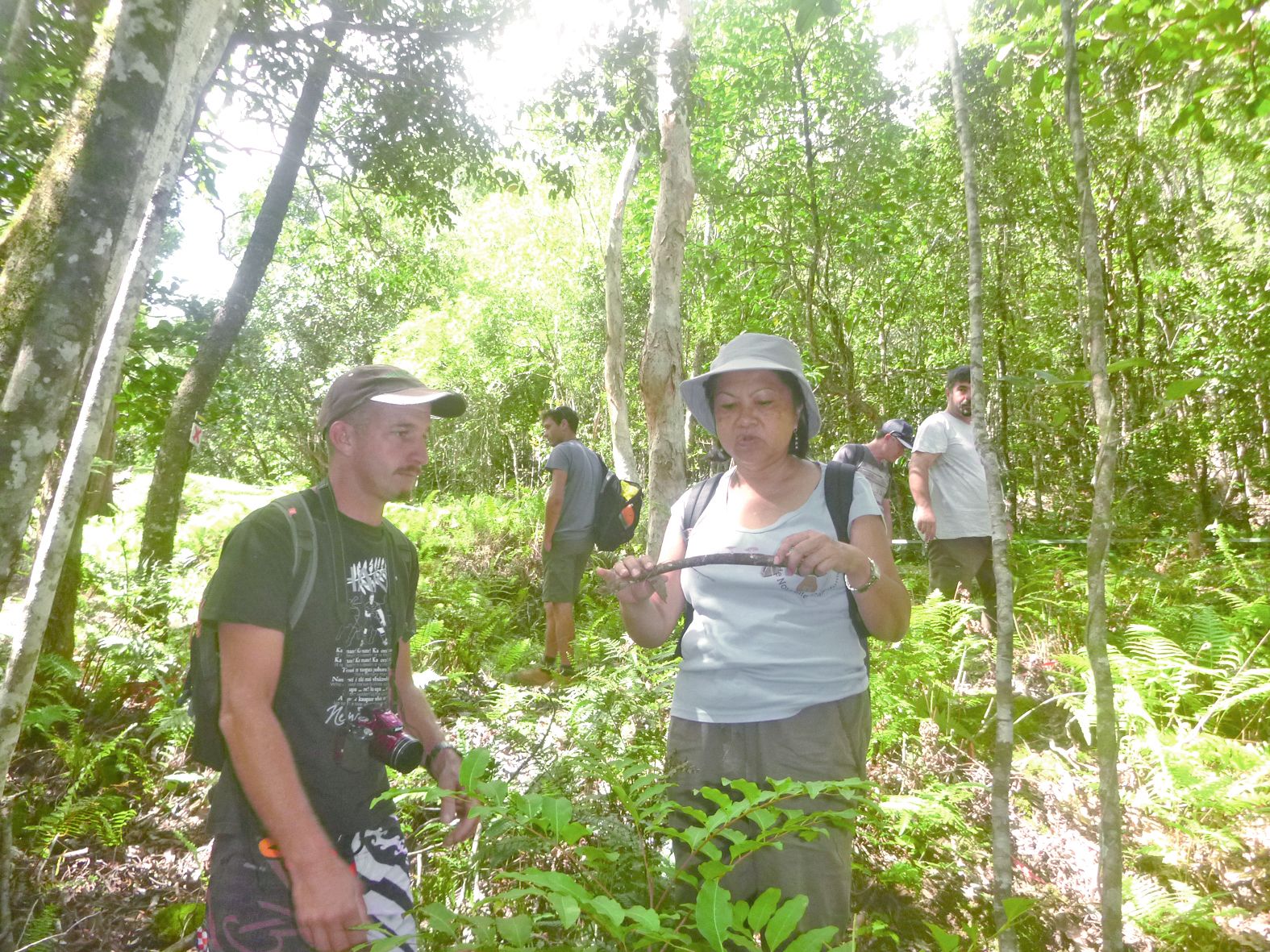 La meilleure période pour observer les champignons est d’avril à juillet, en raison de la température plus fraîche et du taux d’hygrométrie plus important.