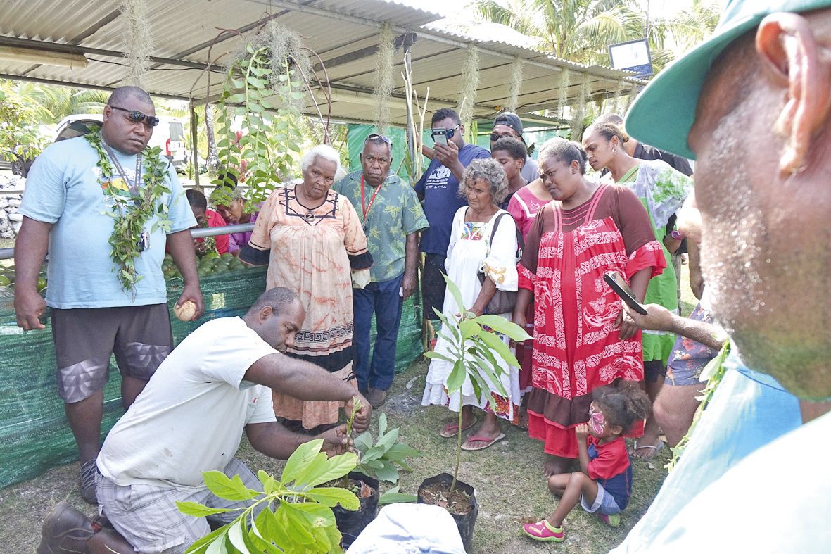 Parmi les stands présents sur le site, celui du CADRL a connu un vif succès auprès du  public. Ici, Elia Ngadaé, technicien Arbofruits, fait une démonstration de greffage d’avocat.