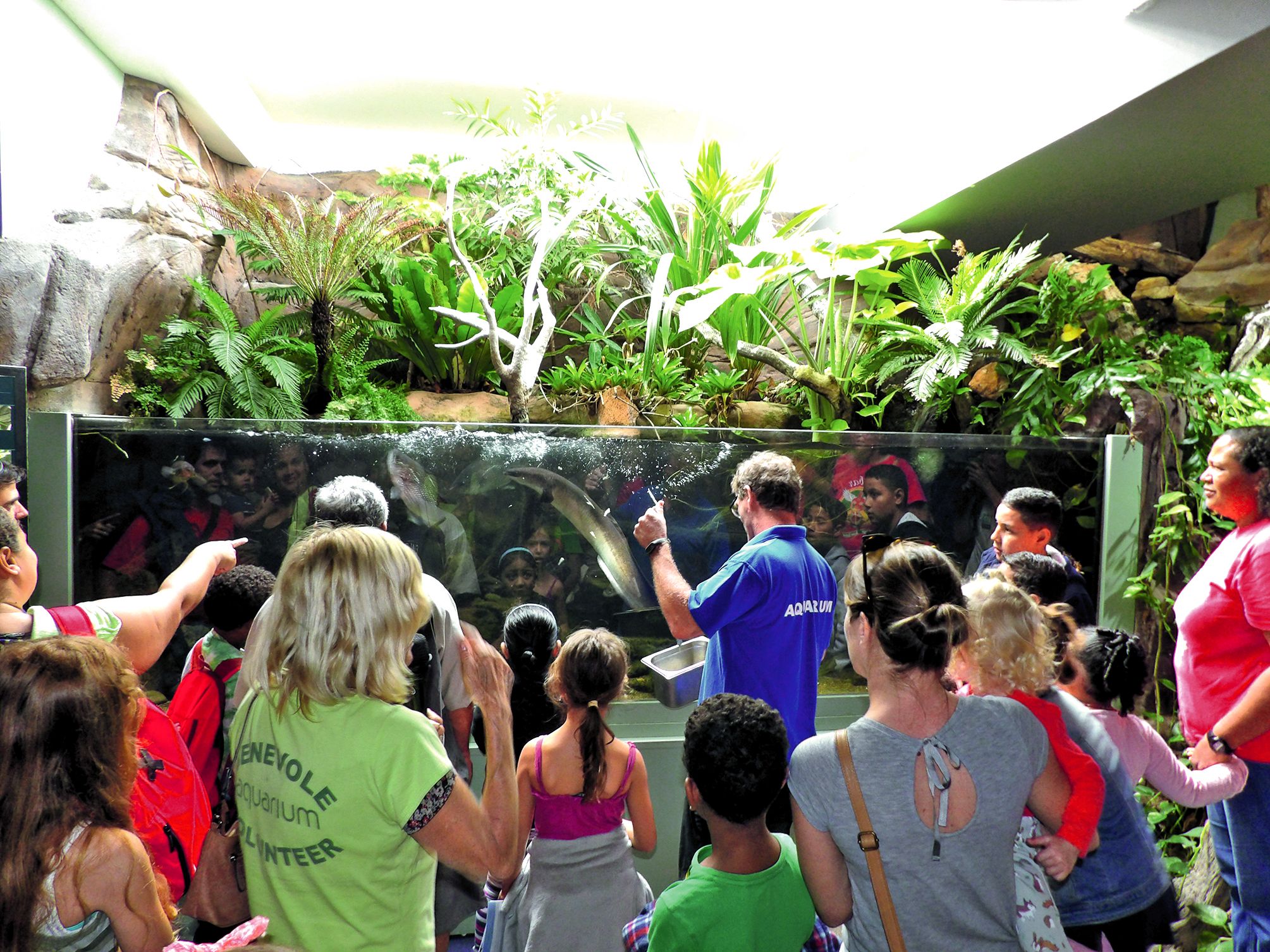 L’Aquarium des lagons a proposé une ouverture en continue pour seulement 100 francs l’entrée. Ses animations sur le dugong, les requins et serpents de mer, et le nourrissage des poissons et des tortues ont rencontré un vif succès.