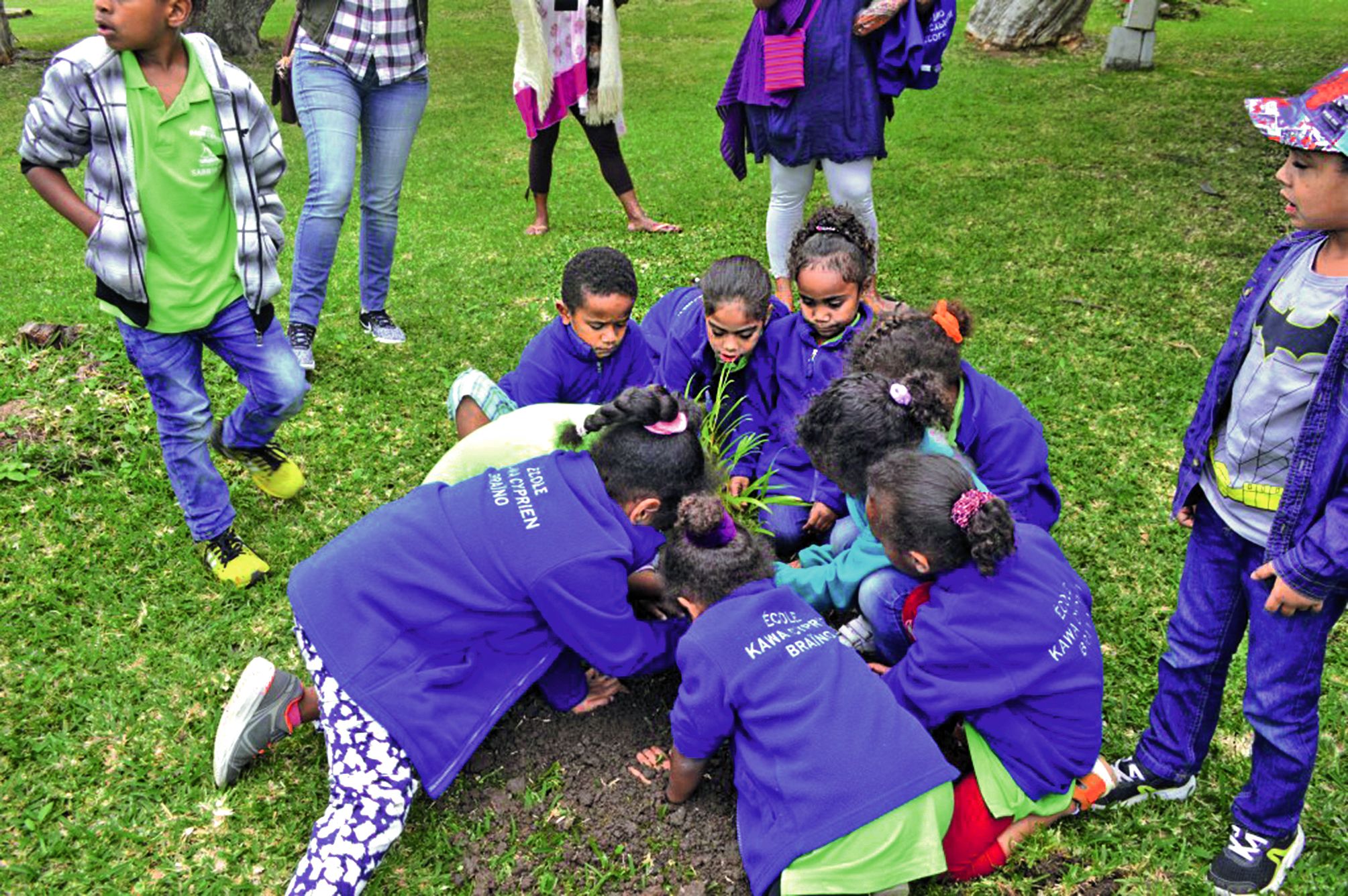 Les enfants ont planté un kaori et un mandarinier. Ces trois jours ont permis de renforcer  la cohésion de la classe.