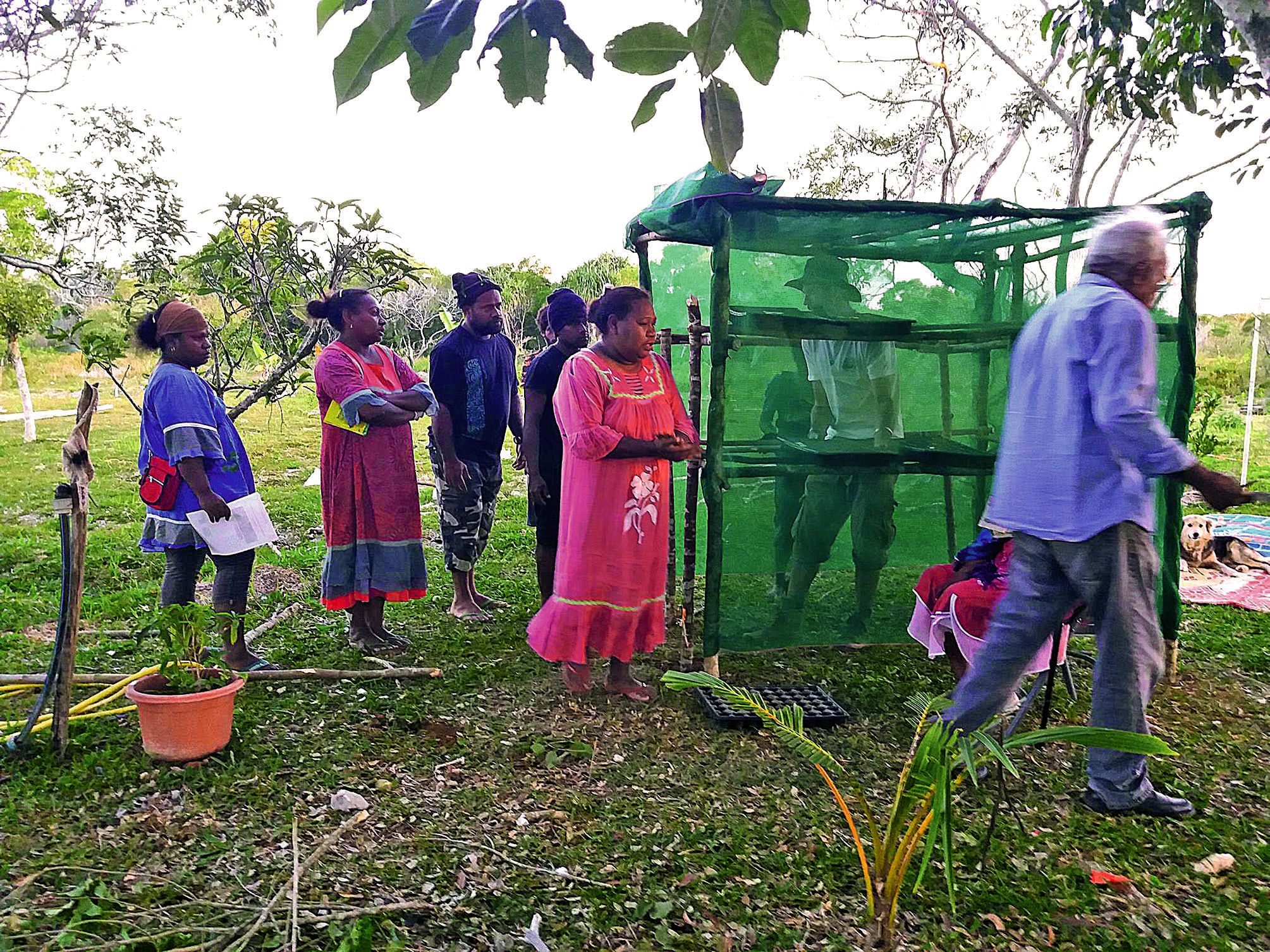 Les participants ont construit une mini-serre destinée à recevoir de jeunes semis.