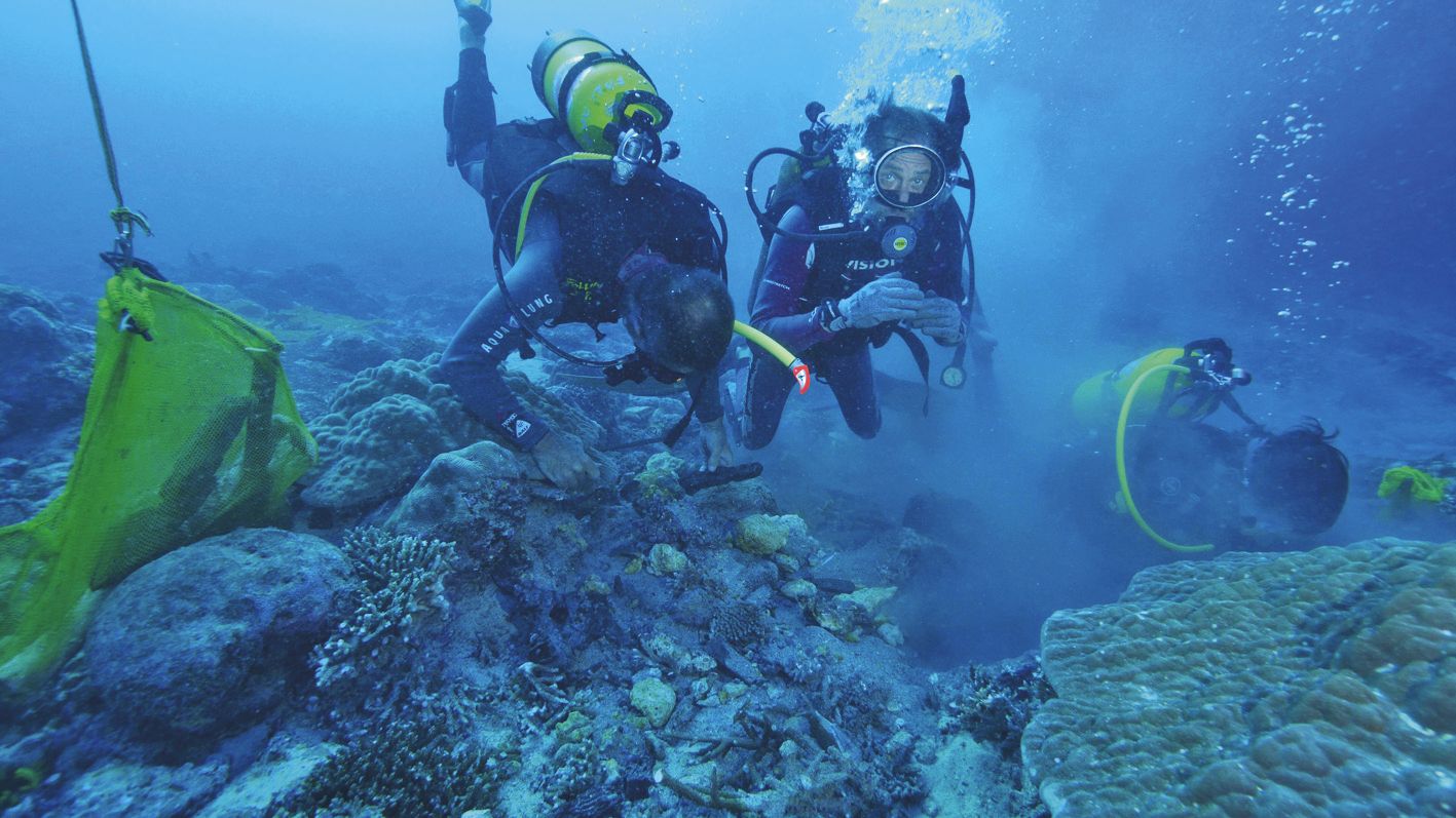 Les plongeurs de Fortunes de Mer sur le site, où l’épave est quasiment invisible tant elle est prise dans le corail. Photos Luc Faucompré