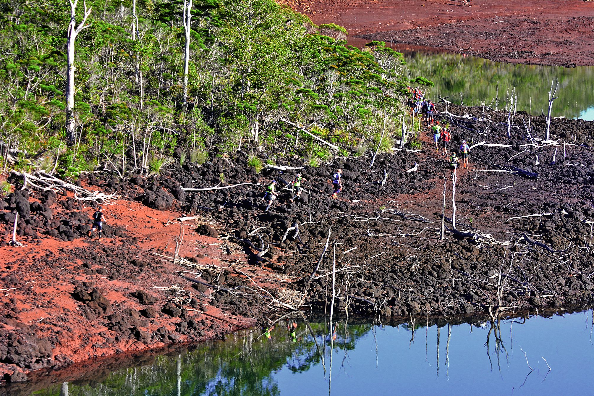 L’énergie des coureurs contraste avec la lente agonie des arbres qui jonchent la piste.