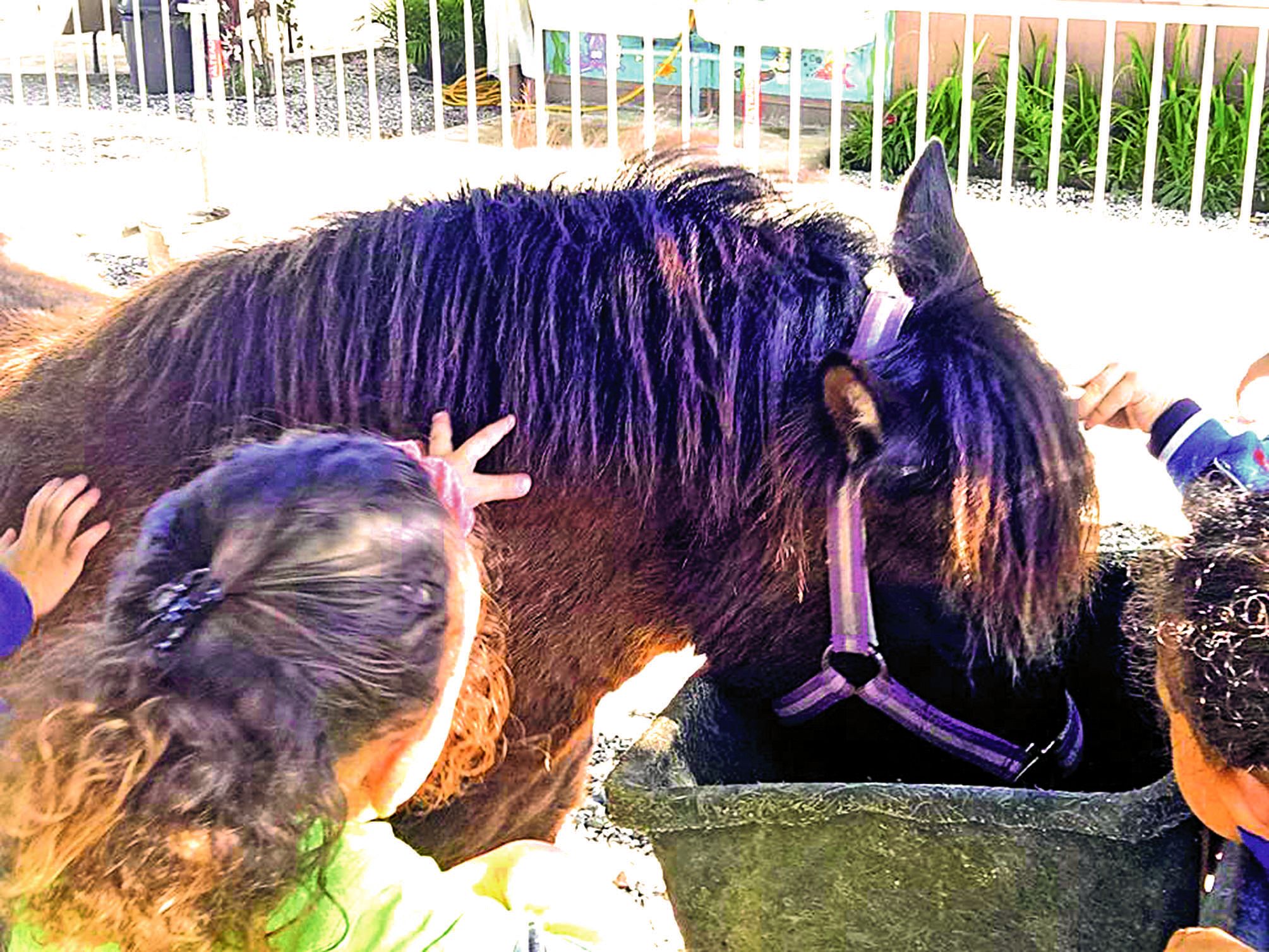L’objectif pédagogique de cette journée pour les enfants était d’étudier le mode de déplacement, de reproduction, d’alimentation et le vocabulaire associé aux animaux présents.