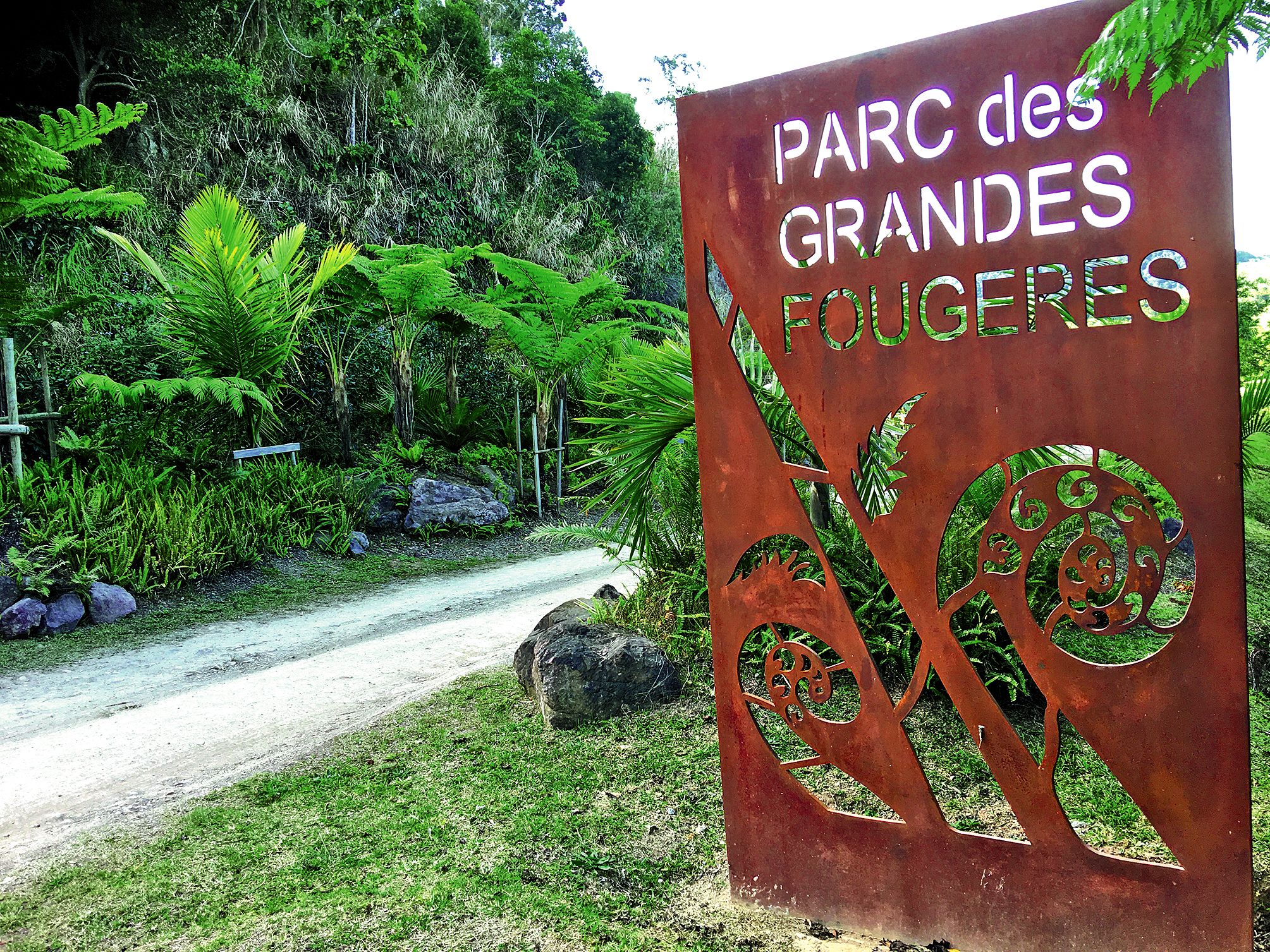 Les Grandes Fougères sont gérées par un syndicat mixte rassemblant Farino, Moindou, Sarraméa et la province Sud. O.P