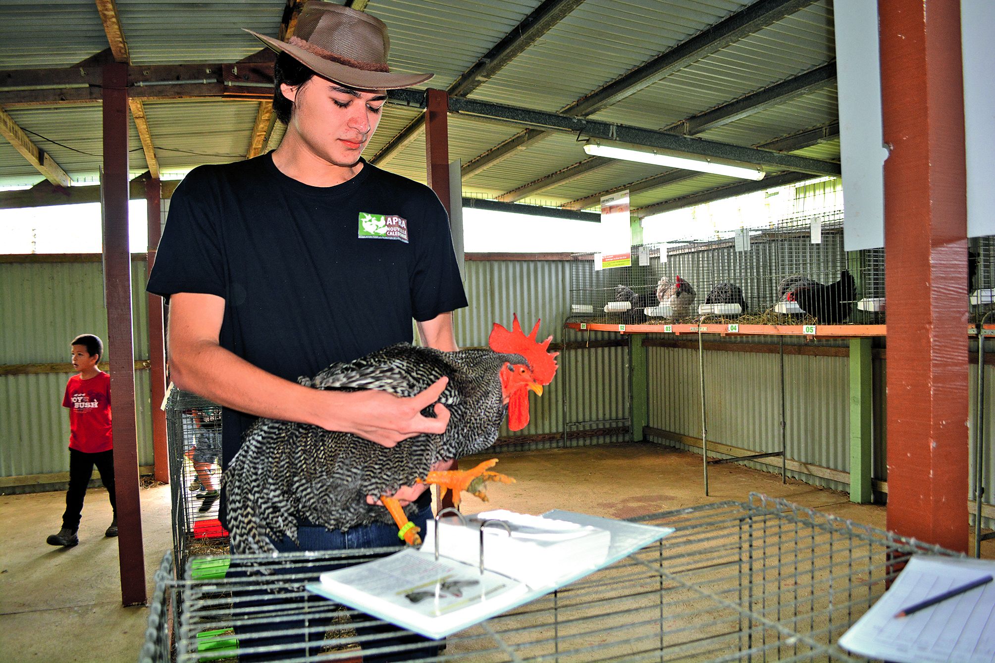 Enzo Tavergeux, membre de l’Apra, a jugé les volailles selon  les critères européens (couleur, défauts graves, caractéristiques raciales etc.). Les animaux doivent se rapprocher le plus de ce standard. « Ils sont notés sur 100.  La meilleure note, c’est 9