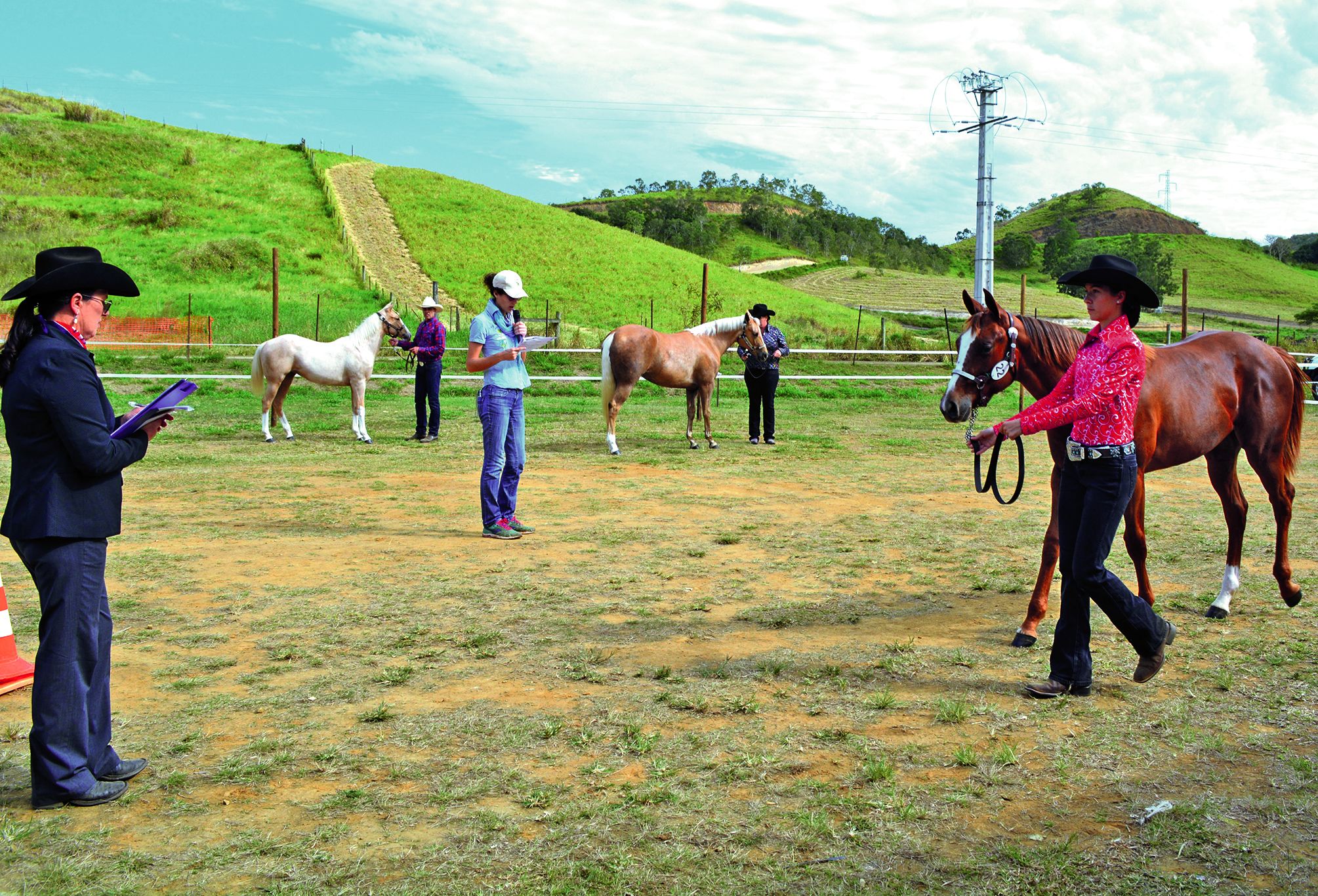 Une soixantaine de chevaux ont été présentés au concours équin. Les races Quarter Horses, Paint Horses et Appaloosas ont été passées au crible par Patricia Wettenhall, juge spécialement venue d’Australie. 