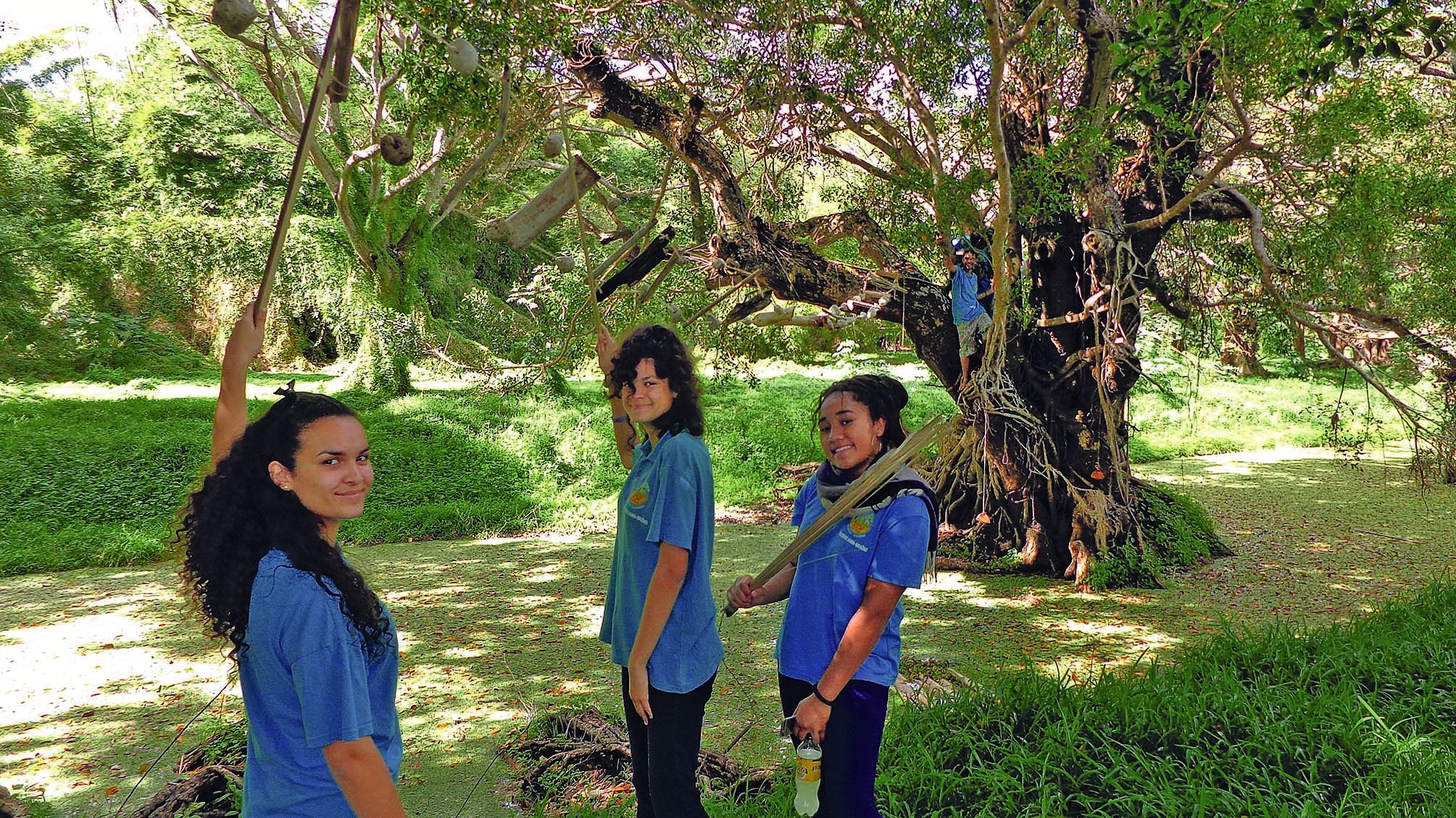 Les élèves du collège Théodore-Braïno de La Foa ont réalisé une passerelle entre deux arbres pour marquer le lien et rester ainsi dans le thème principal.