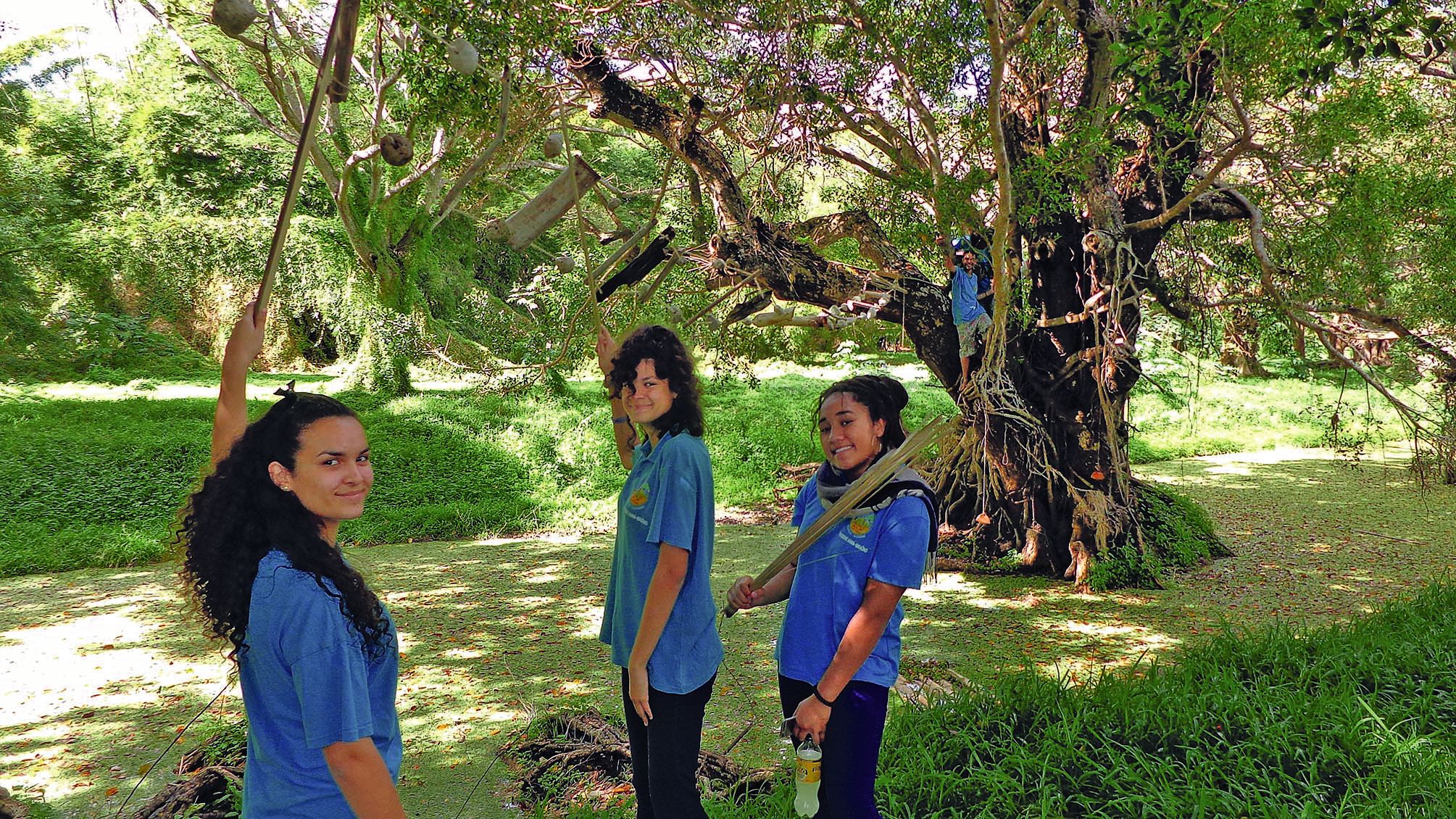 Les élèves du collège Théodore-Braïno de La Foa ont réalisé une passerelle entre deux arbres pour marquer le lien et rester ainsi dans le thème principal.