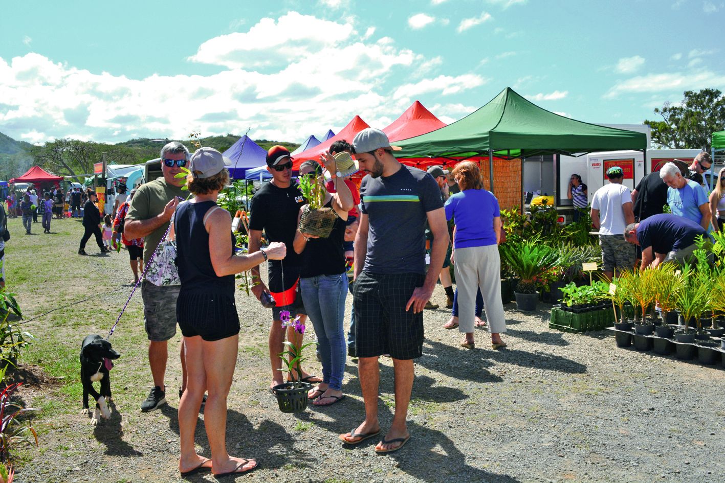 Le public est venu nombreux participer à cette sixième édition de la fête du palmier. Sur le site, de la bonne humeur et une bonne ambiance.
