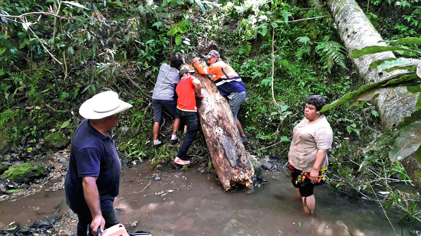 Le tronc doit être descendu jusqu’au creek, puis déposé de l’autre côté.