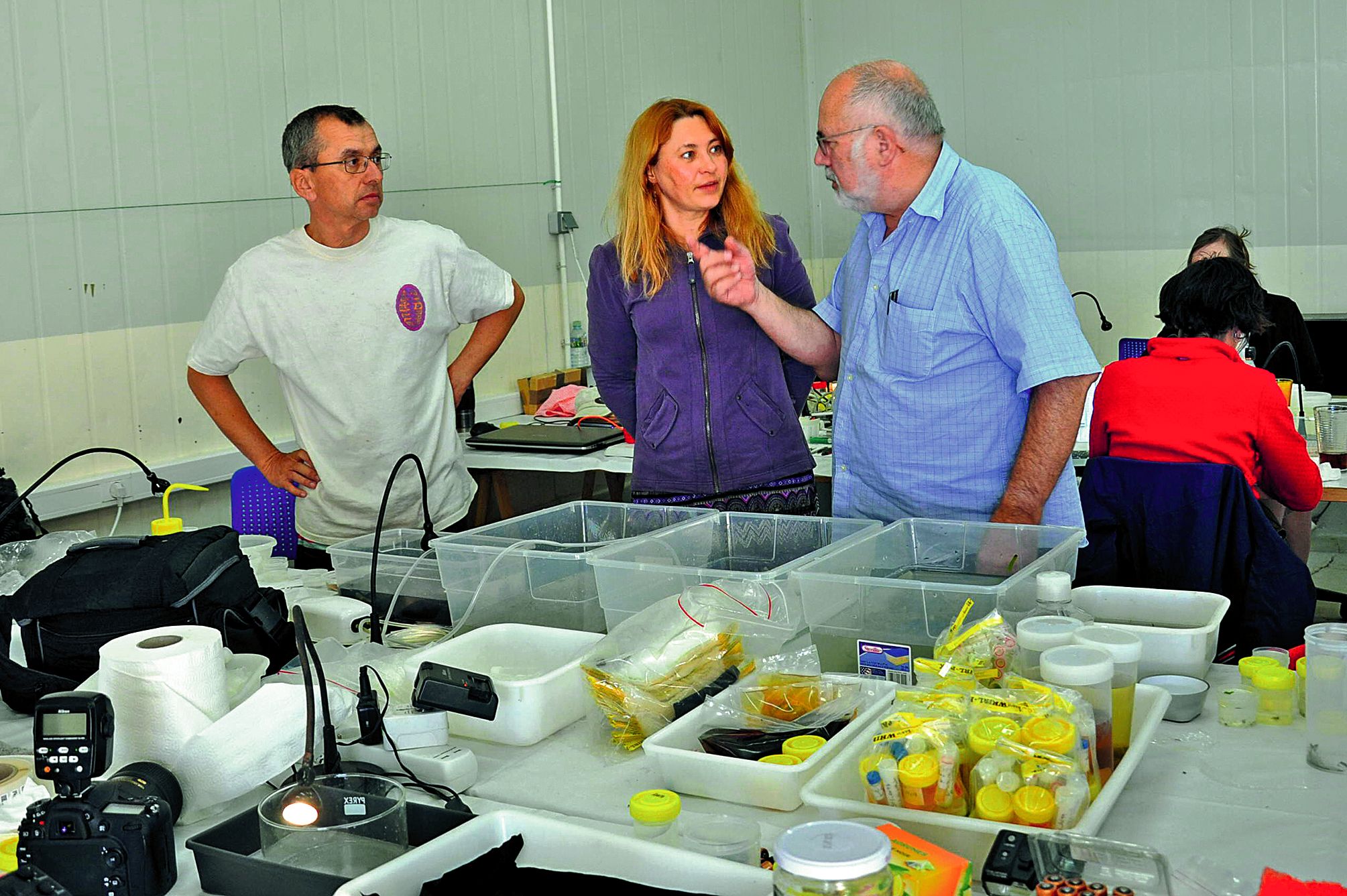 Angel Valdès, Marina Poddubestkaia et Philippe Bouchet se penchent sur des espèces de nudibranches.