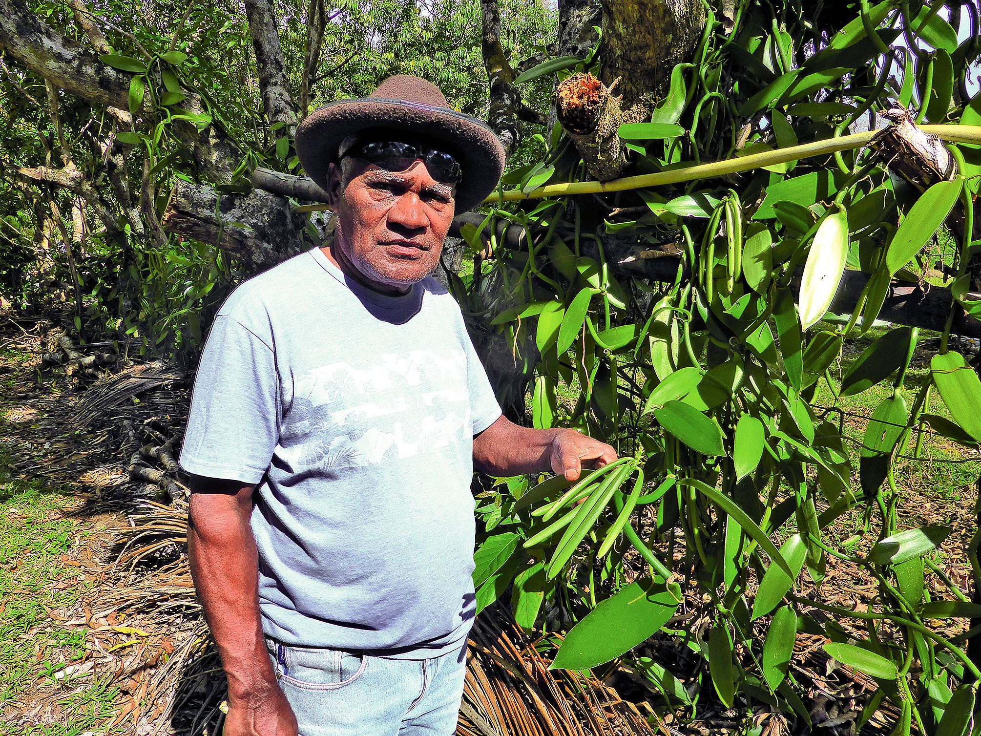 Wassaloup Carawiane travaille aussi son champ traditionnel pour les ignames, taros et autres bananes destinés à sa consommation personnelle.