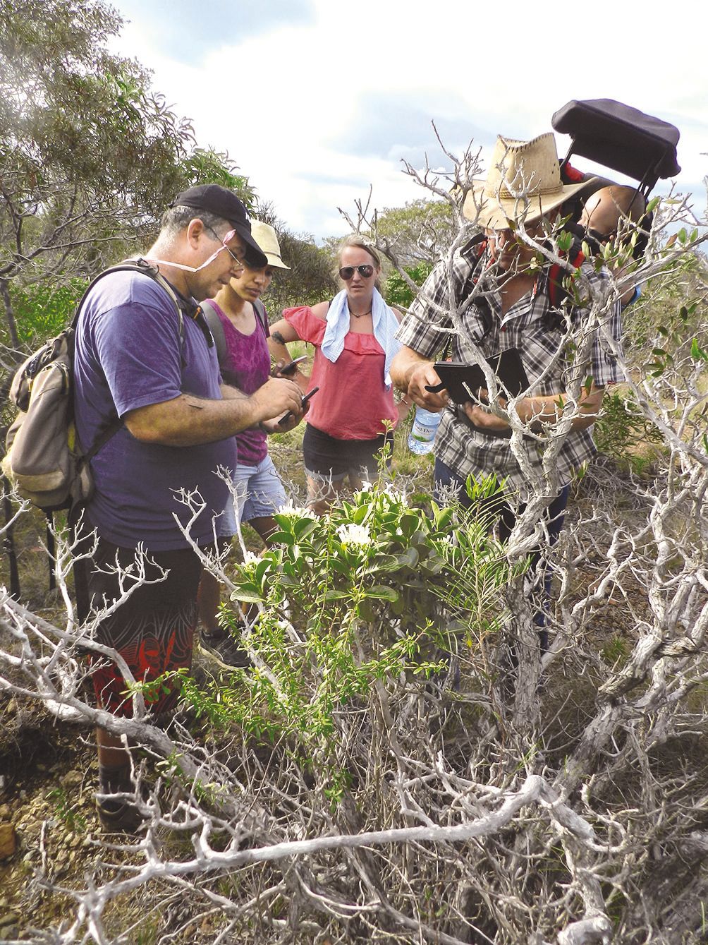 Dominique Fleurot, passionné de botanique, a fait la démonstration de l’application Plantnet.