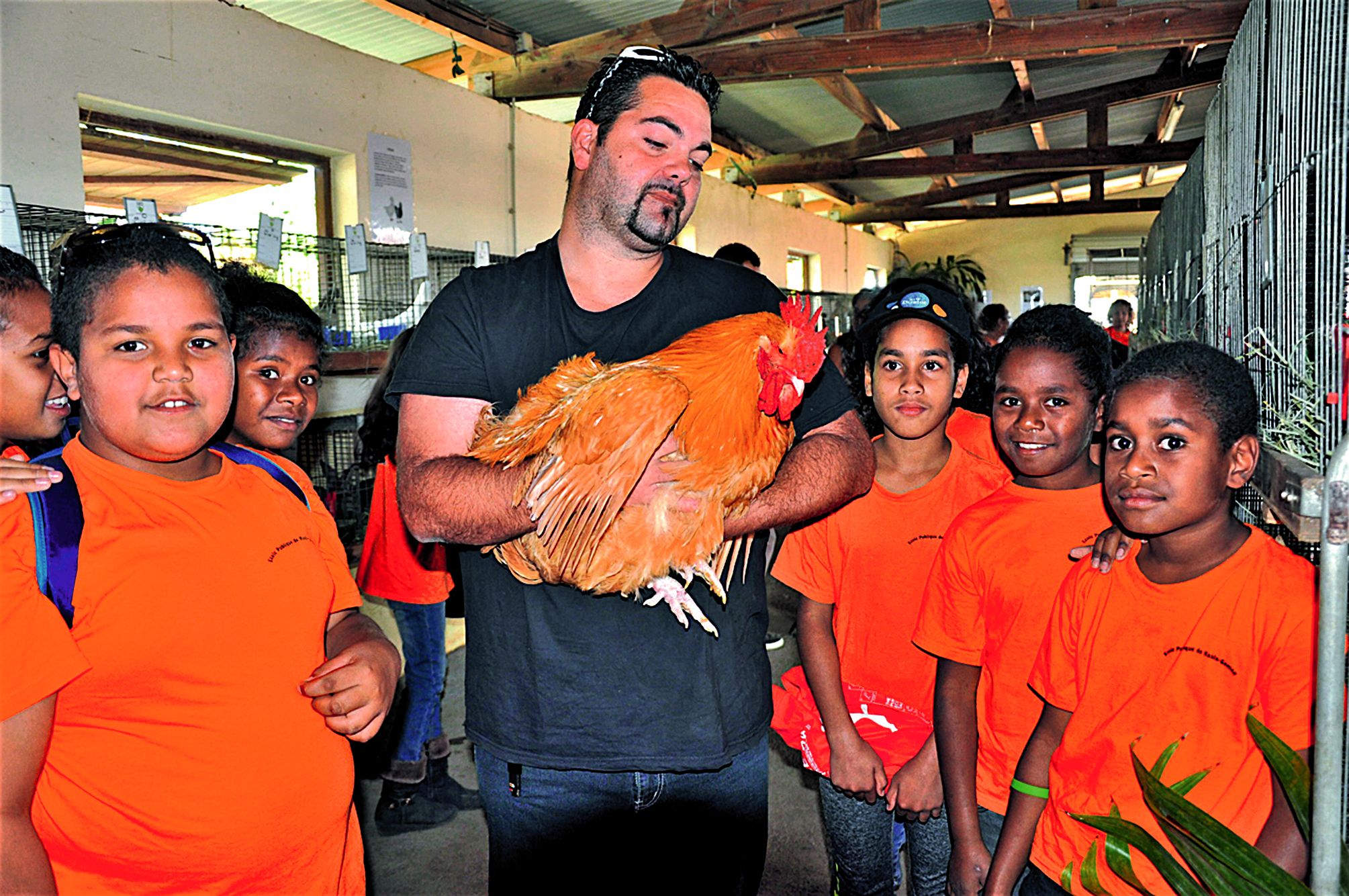 Au stand avicole, douze éleveurs ont présenté 1 334 animaux de basse-cour dont 65 animaux en exposition, 1 200 pour la vente et 39 en exposition dans la volière. Une participation plus importante que celle de 2017. Ce coq a remporté le prix de race Orping