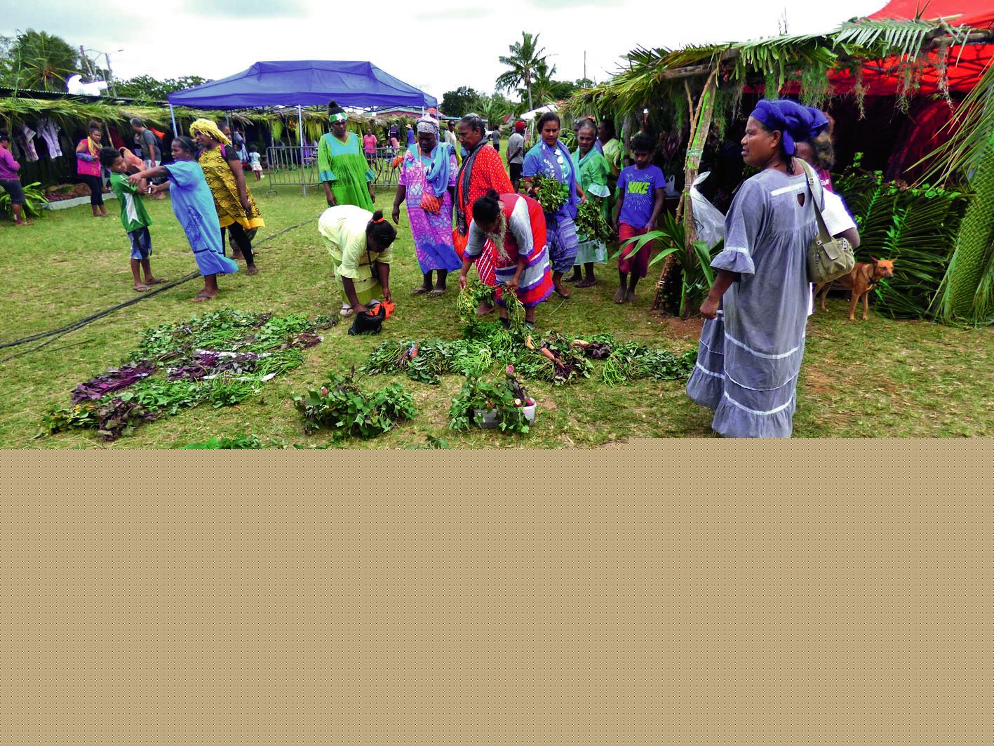 Le stand Waseli s’est vu attribuer le 1er prix avec vingt-trois variétés présentées au concours.