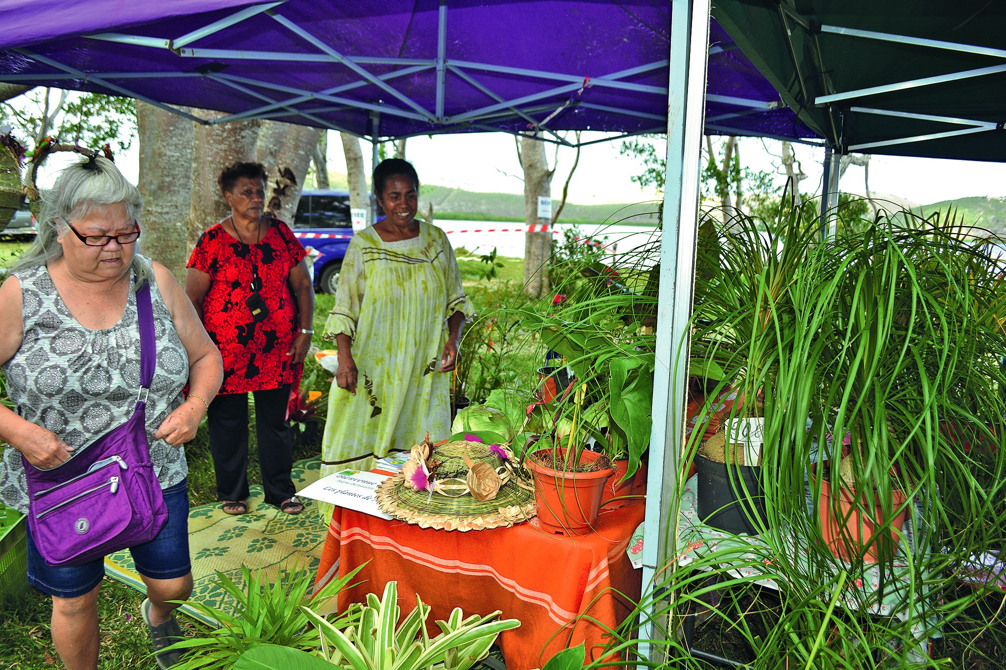 Plantes vertes et fleurs  ont, elles aussi, une grande place dans ce marché, ce  qui n’a pas été pour déplaire aux amoureux de la nature  en quête de nouveautés dans ce domaine.
