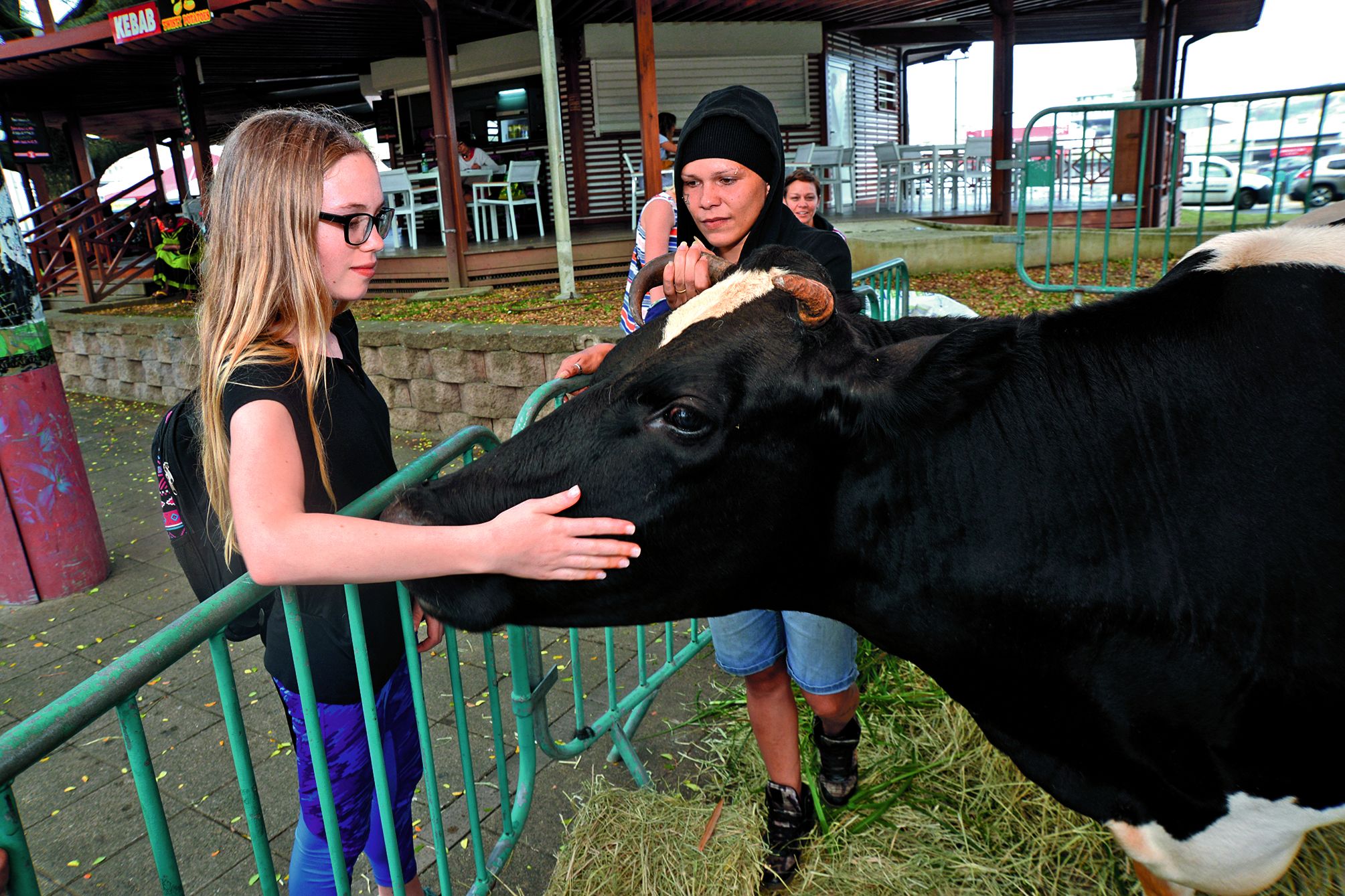 La star de l’après-midi était sans aucun doute Clarinette, une des vaches de la ferme de Saint-Louis. Plus habituée aux pâturages du Mont-Dore qu’aux pavés de la place des Cocotiers, cette belle bête, gourmande et câline, n’a pas manqué d’impressionner les plus petits.
