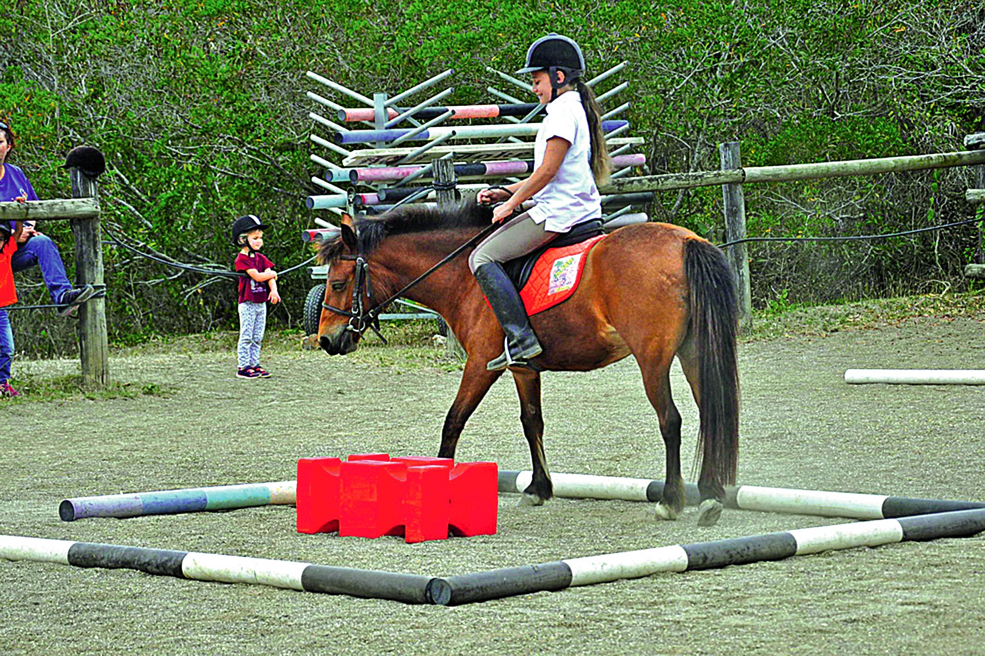 Plus d’une vingtaine de cavaliers - débutants et confirmés - ont participé à l’épreuve de l’Equifun où ils avaient à franchir sept obstacles.