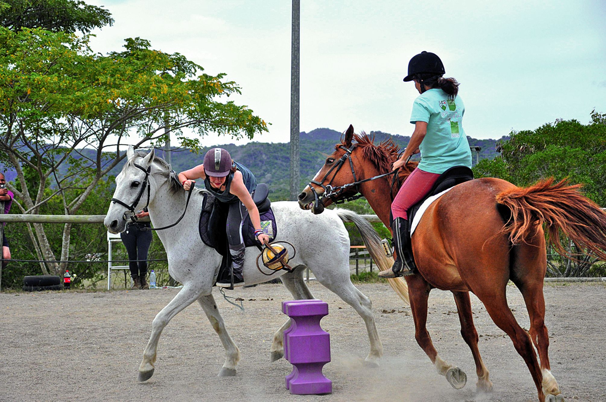 Les cavaliers ont participé à l’épreuve du Poneygames permettant à deux équipes de s’affronter à l’occasion d’une série de jeux exigeant une bonne maniabilité de leur monture et d’adresse de leur part.