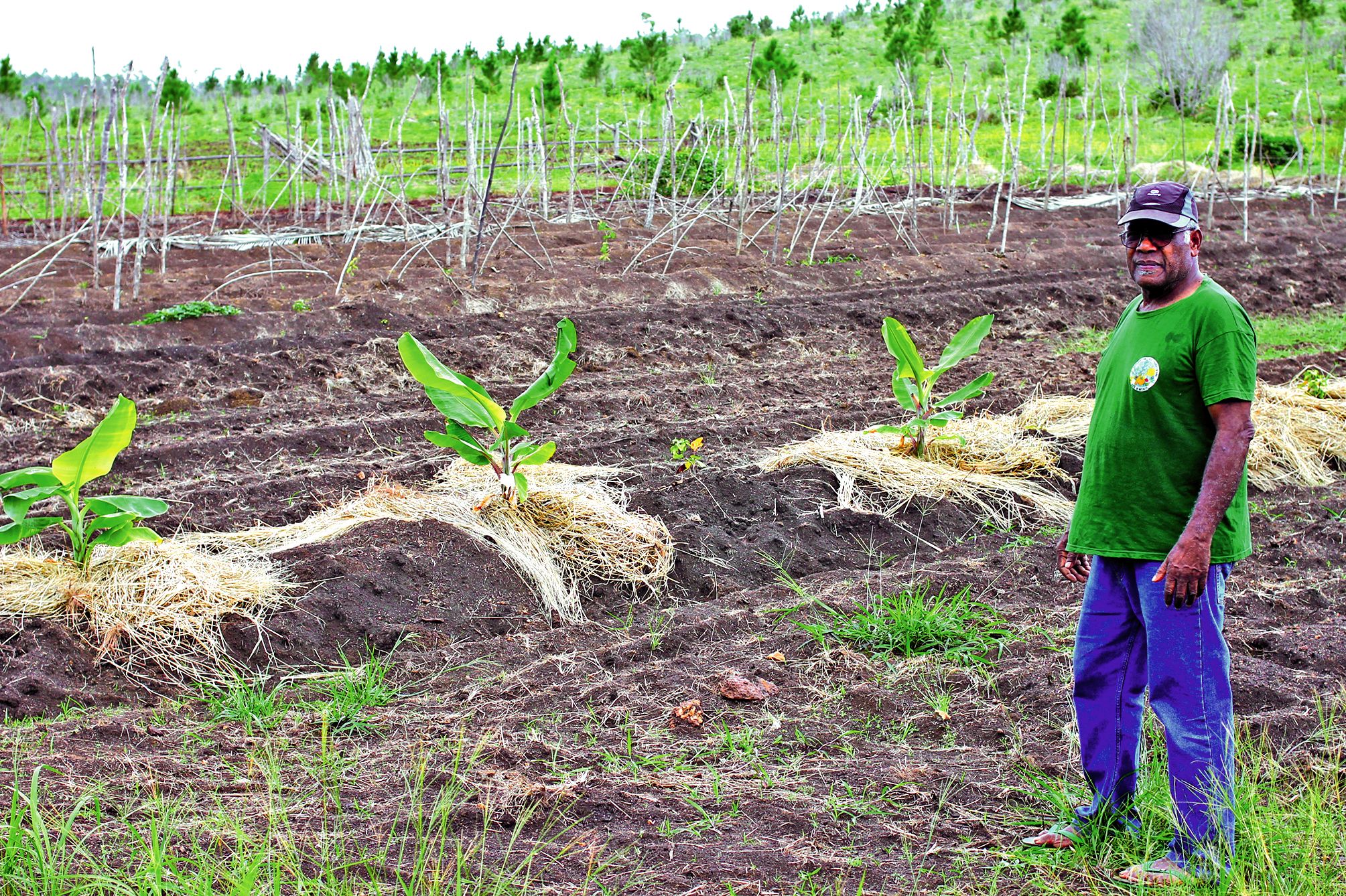 Guy Kombouaré dans le champ de l’Association des agriculteurs de l’île des Pins, qu’il préside. Situé sur le plateau central de Kunié, le champ permet notamment de cultiver en commun des produits qui permettront de lever des fonds pour l’association. Phot