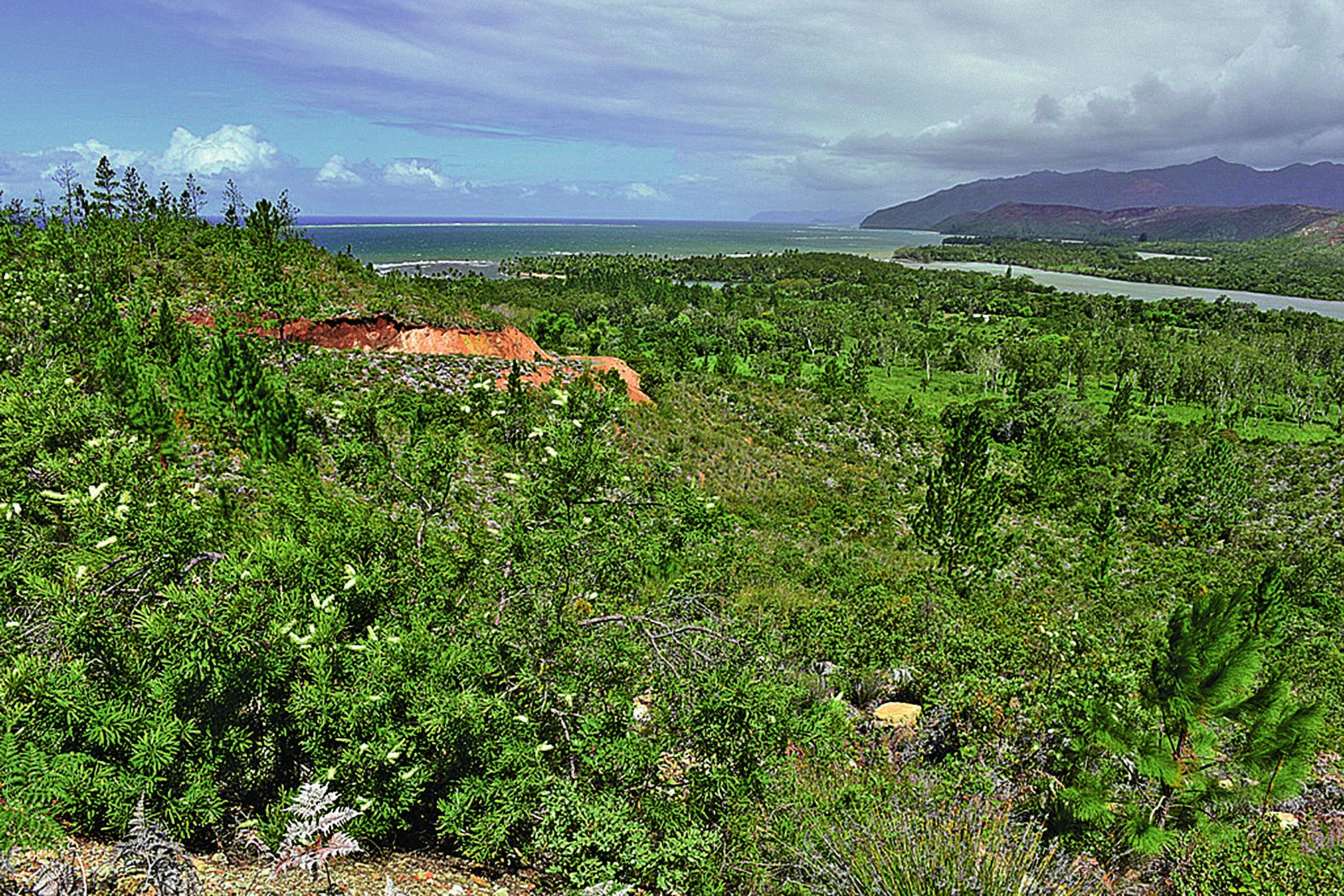 L’espace terrestre de la côte Oubliée est d’une incroyable richesse. Et les écosystèmes marins sont remarquablement préservés. Photo 2016 M. JUNCKER.